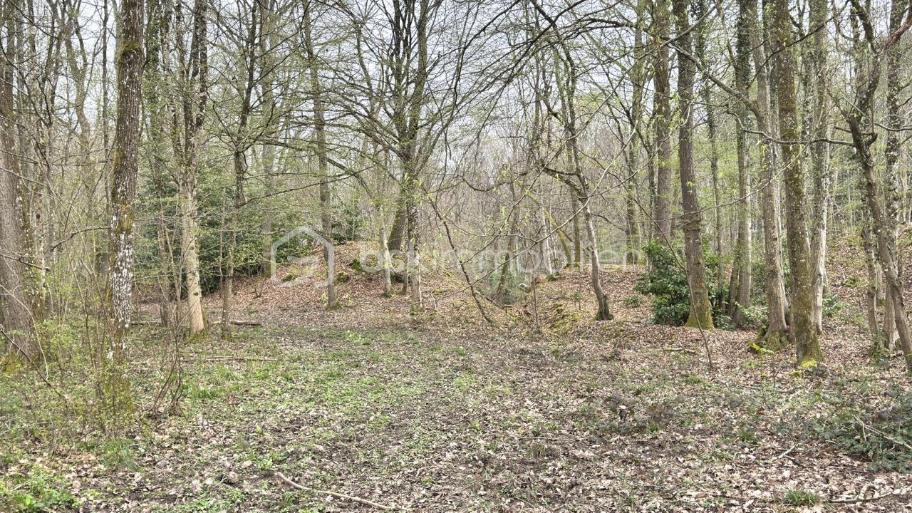 Terrain de loisirs de 96 594 m² - IMG_7140 - Grande.jpeg