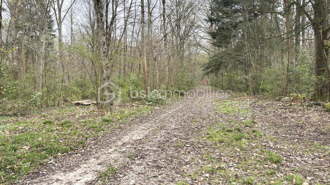 Terrain de loisirs de 96 594 m² - IMG_7138 - Grande.jpeg