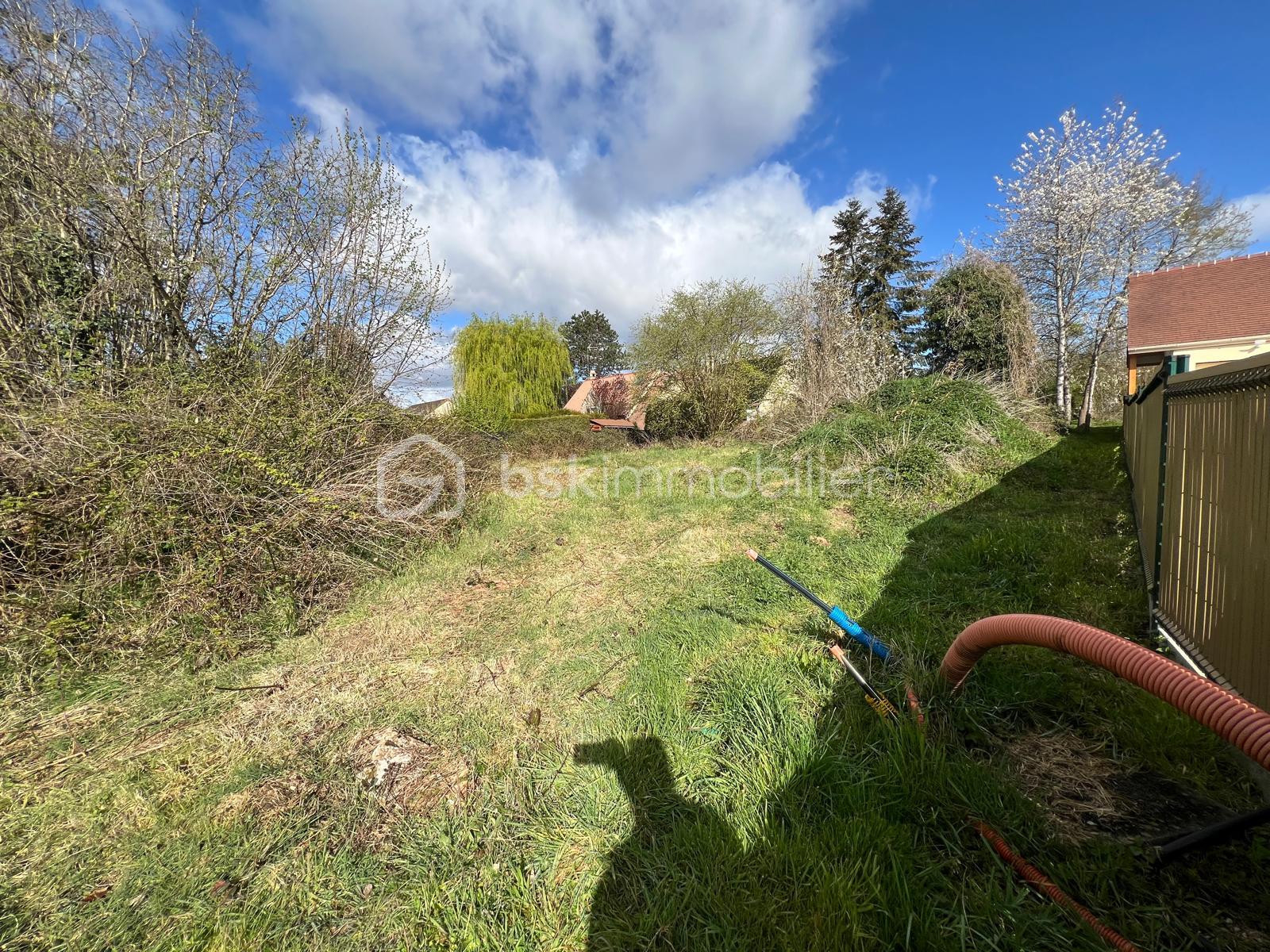 WhatsApp Image 2026-03-30 at 11.15.48.jpeg