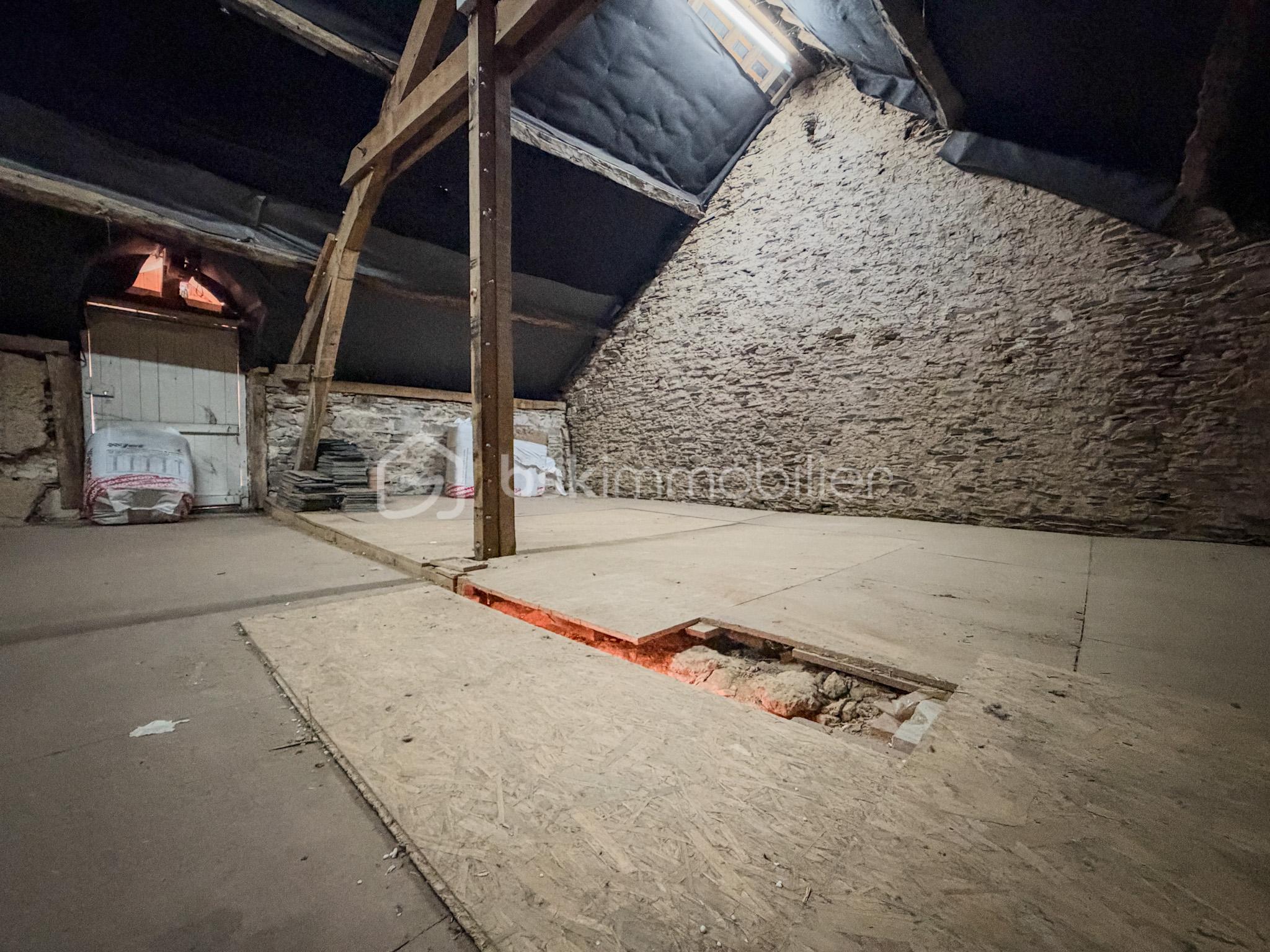 IMG_1535.JPG