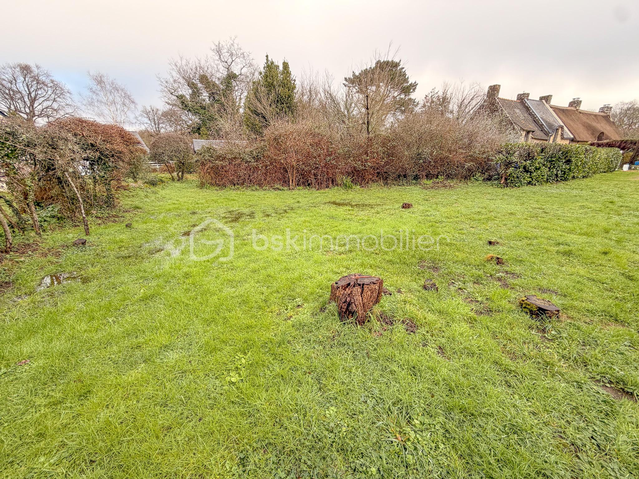 Terrain de 552 m² - lightroom-465.jpg