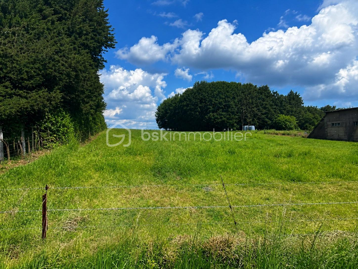bc878563-dec2-4c0c-af1b-3789bcc46325.png