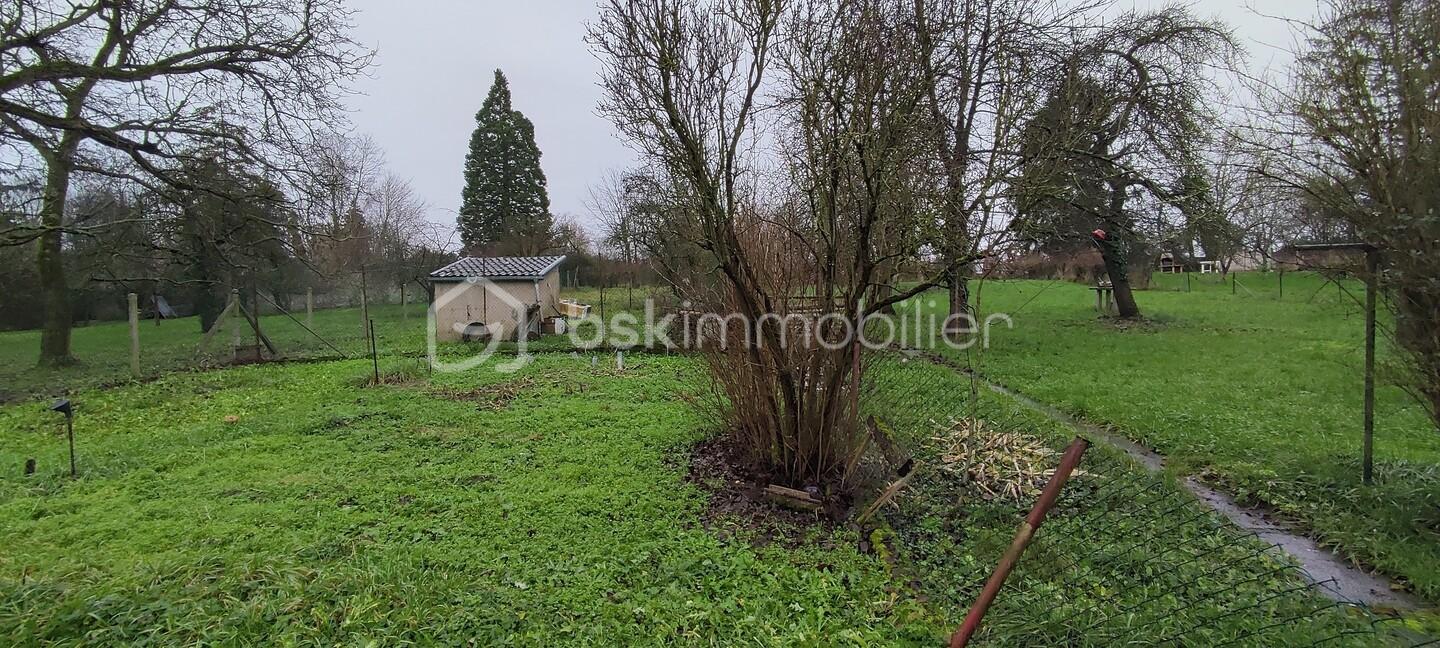 Jardin.jpg