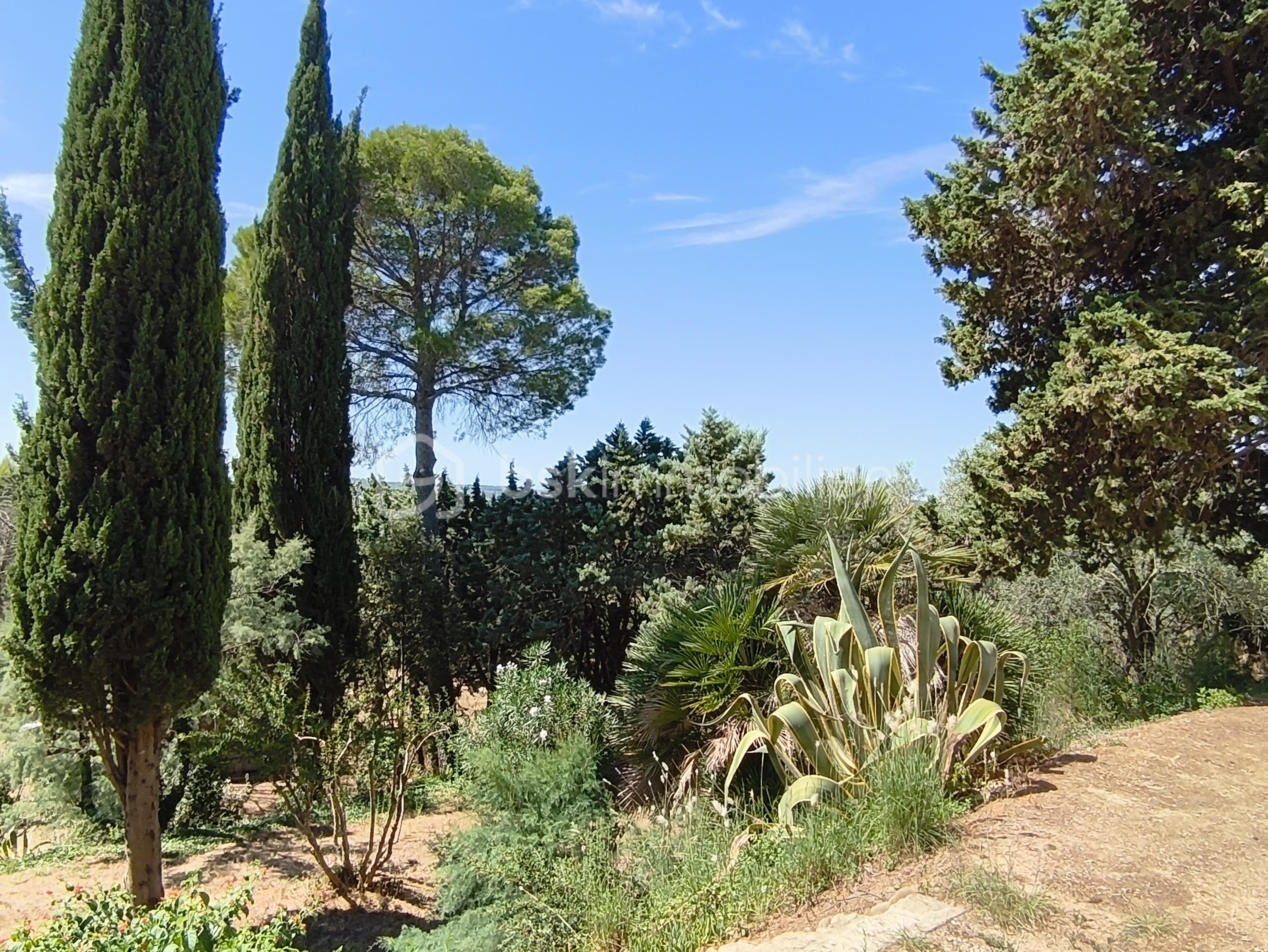 Domaine de 150 m² - IMG_20250824_123442 (1).jpg