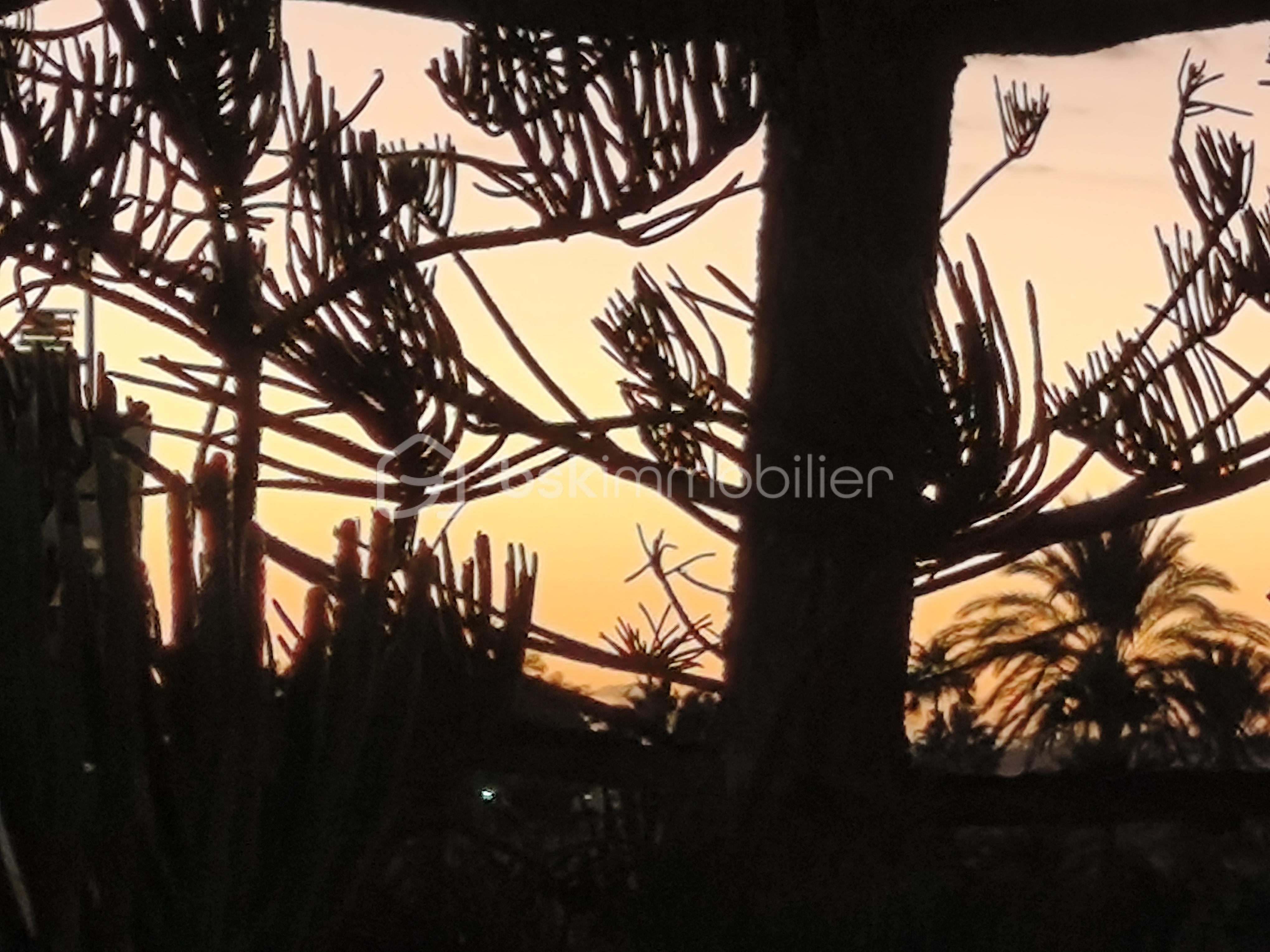 Domaine de 150 m² - IMG_20251107_183927.jpg