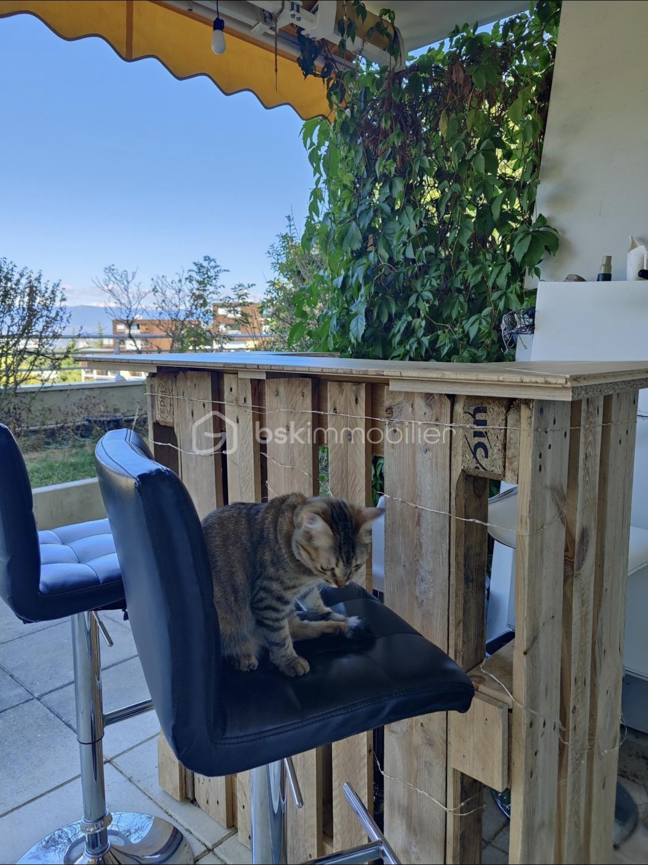 Appartement de 72 m² - IMG_5483.jpeg