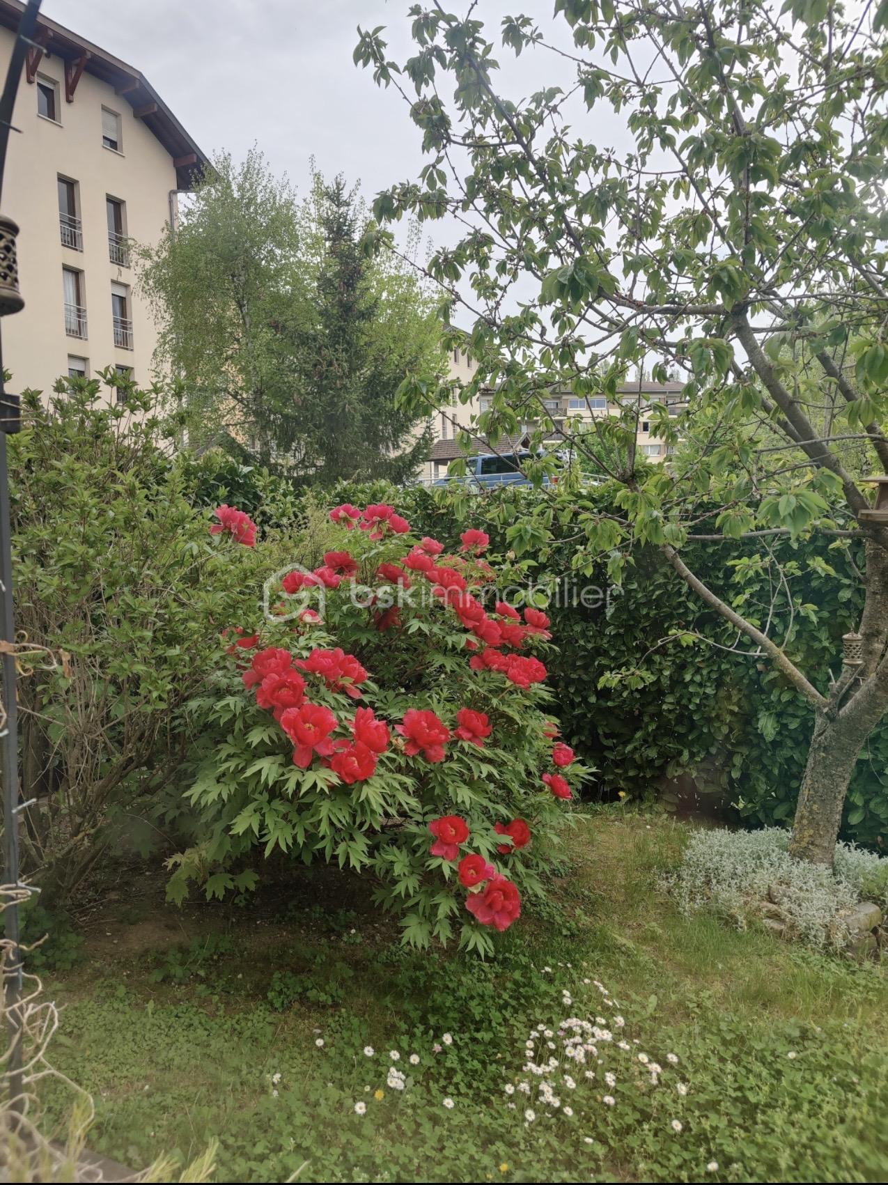 Appartement de 72 m² - IMG_5486.jpeg