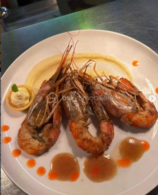 Capture d'écran 2026-03-23 113910.png