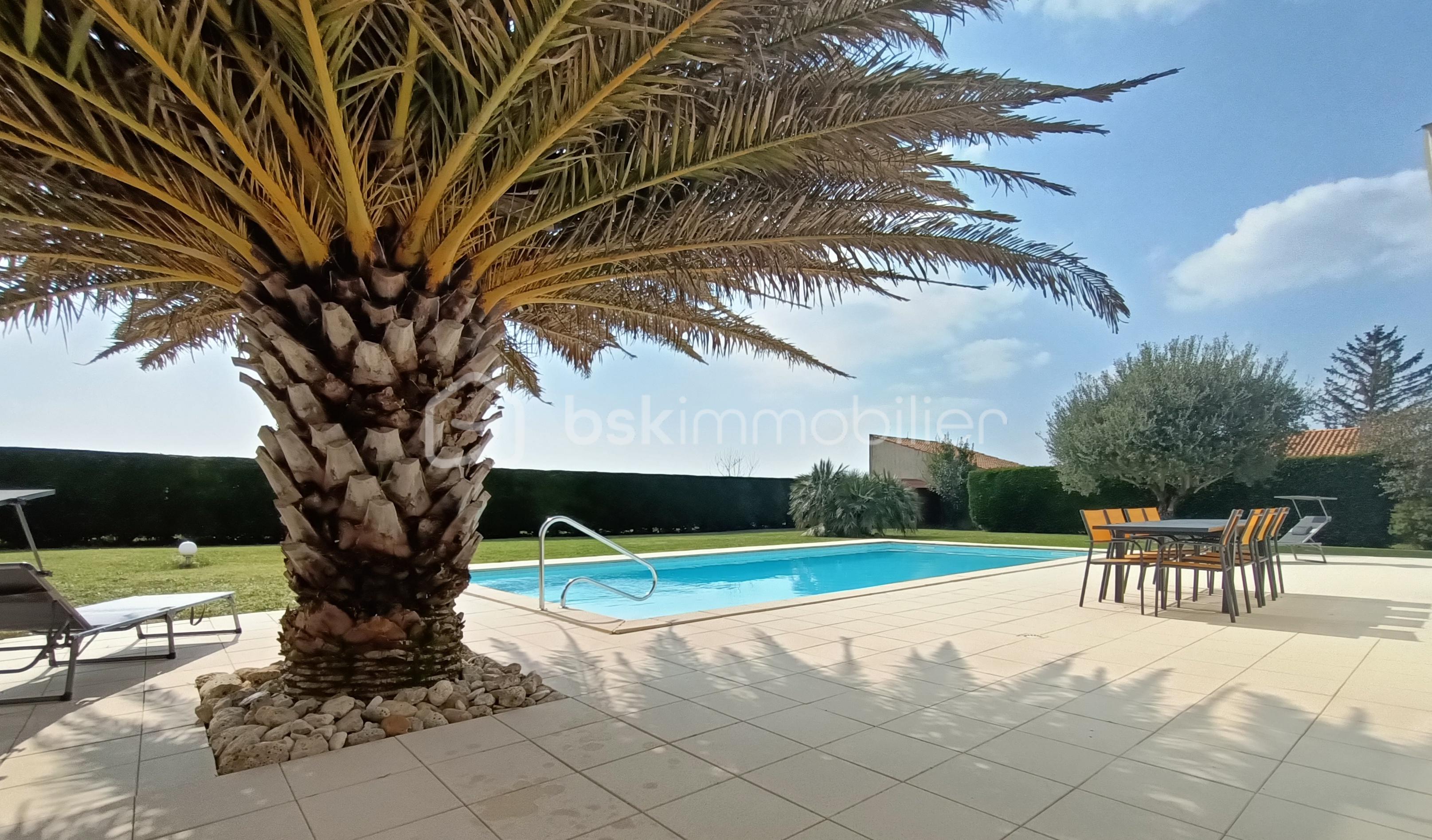 Piscine terrasse 3 Focus+.jpg