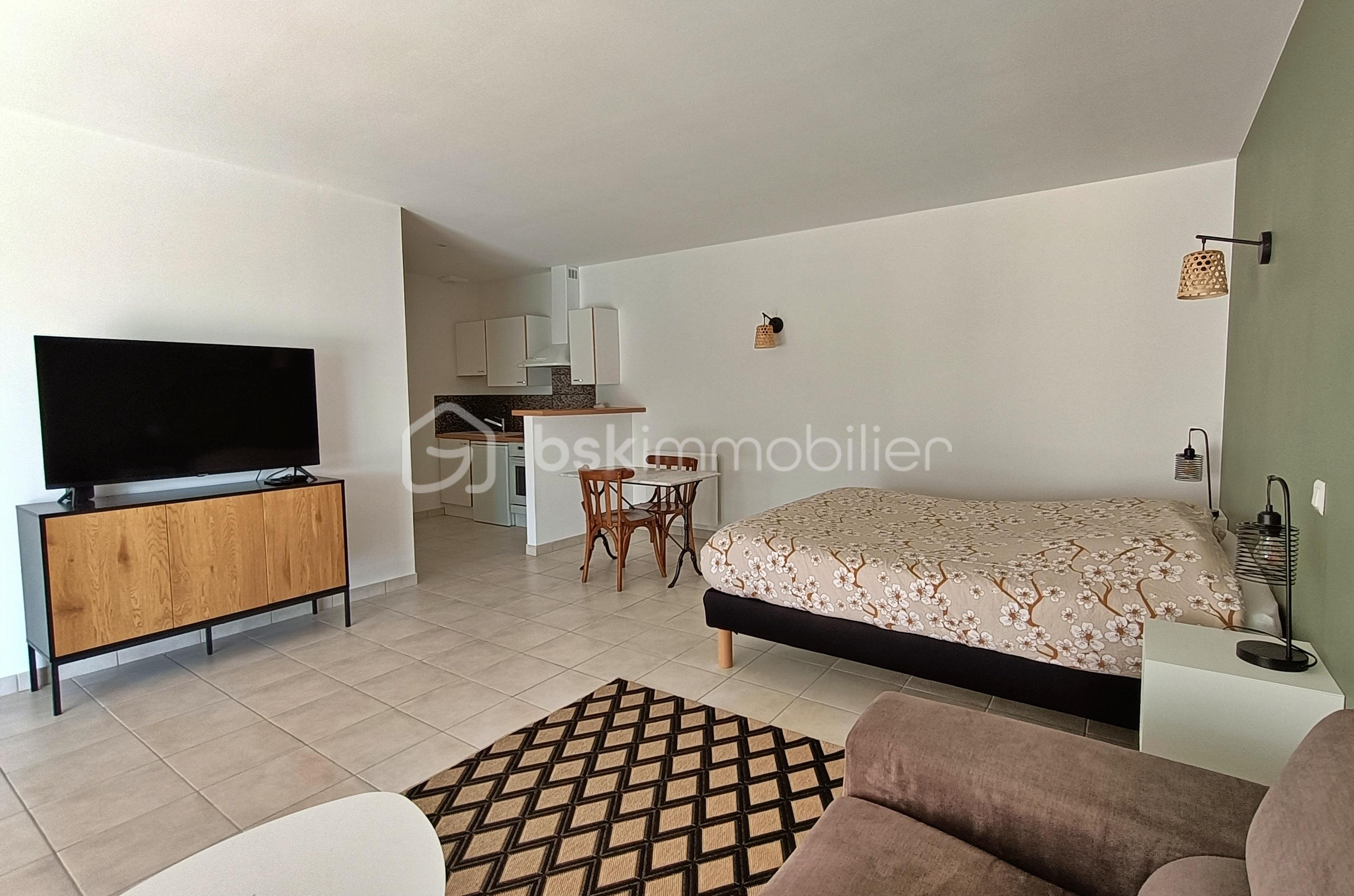 Studio avec TV et cuisine.jpg