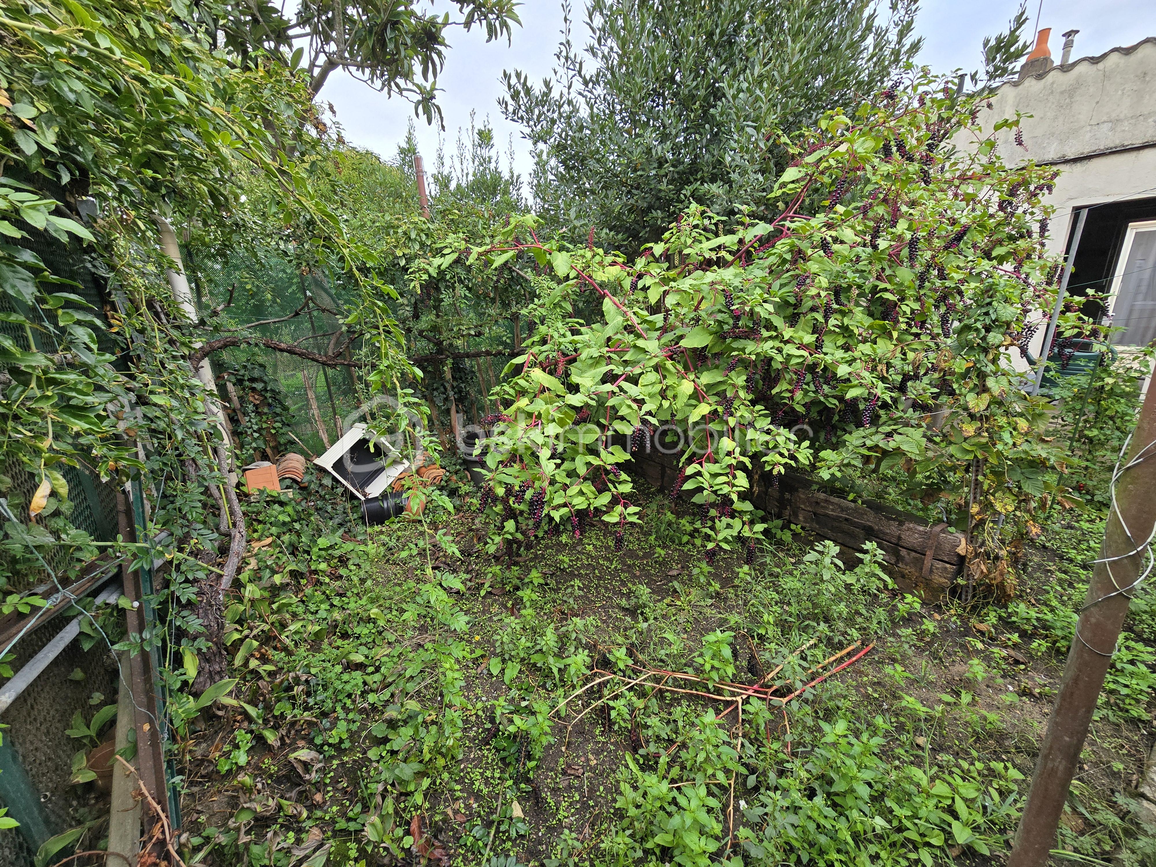 Maison de ville de 80 m² - 20250912_142833.jpg