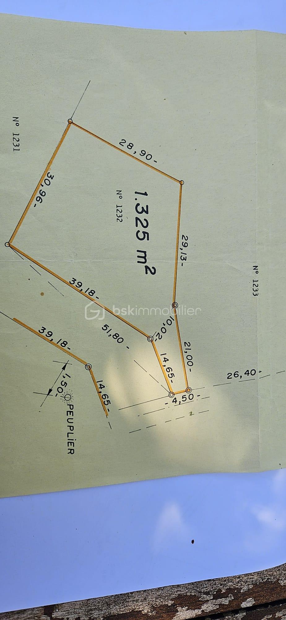 WhatsApp Image 2025-05-24 à 13.51.11_b1479a4d.jpg