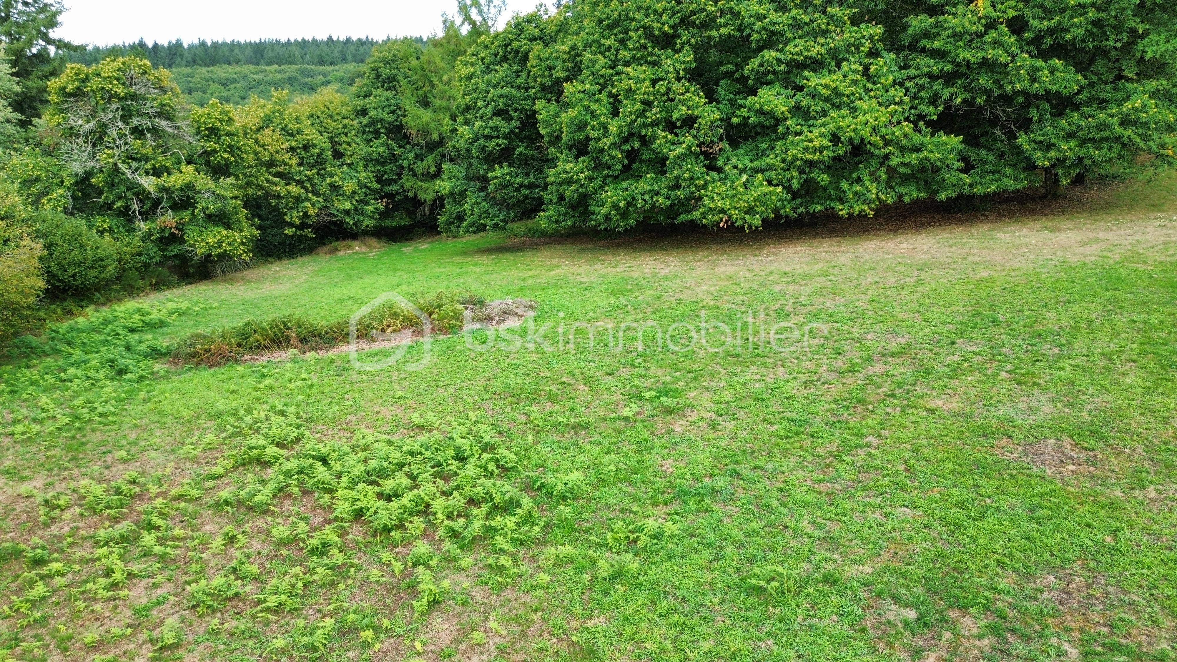 Terrain de 2 486 m² - dji_fly_20250920_161734_102_1758377864714_photo_optimized.jpg