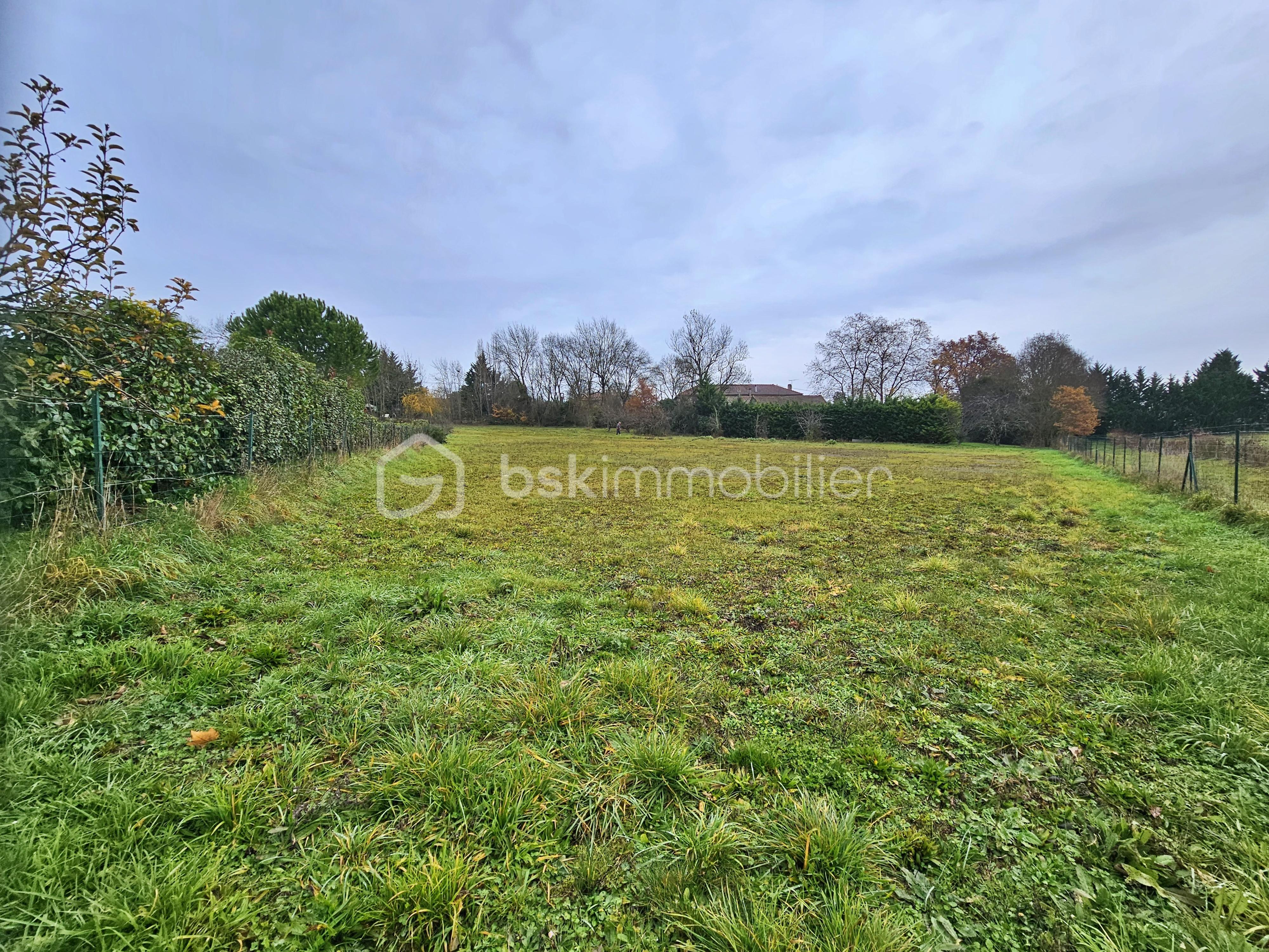 Maison de 130 m² - TERRAIN (1).jpg