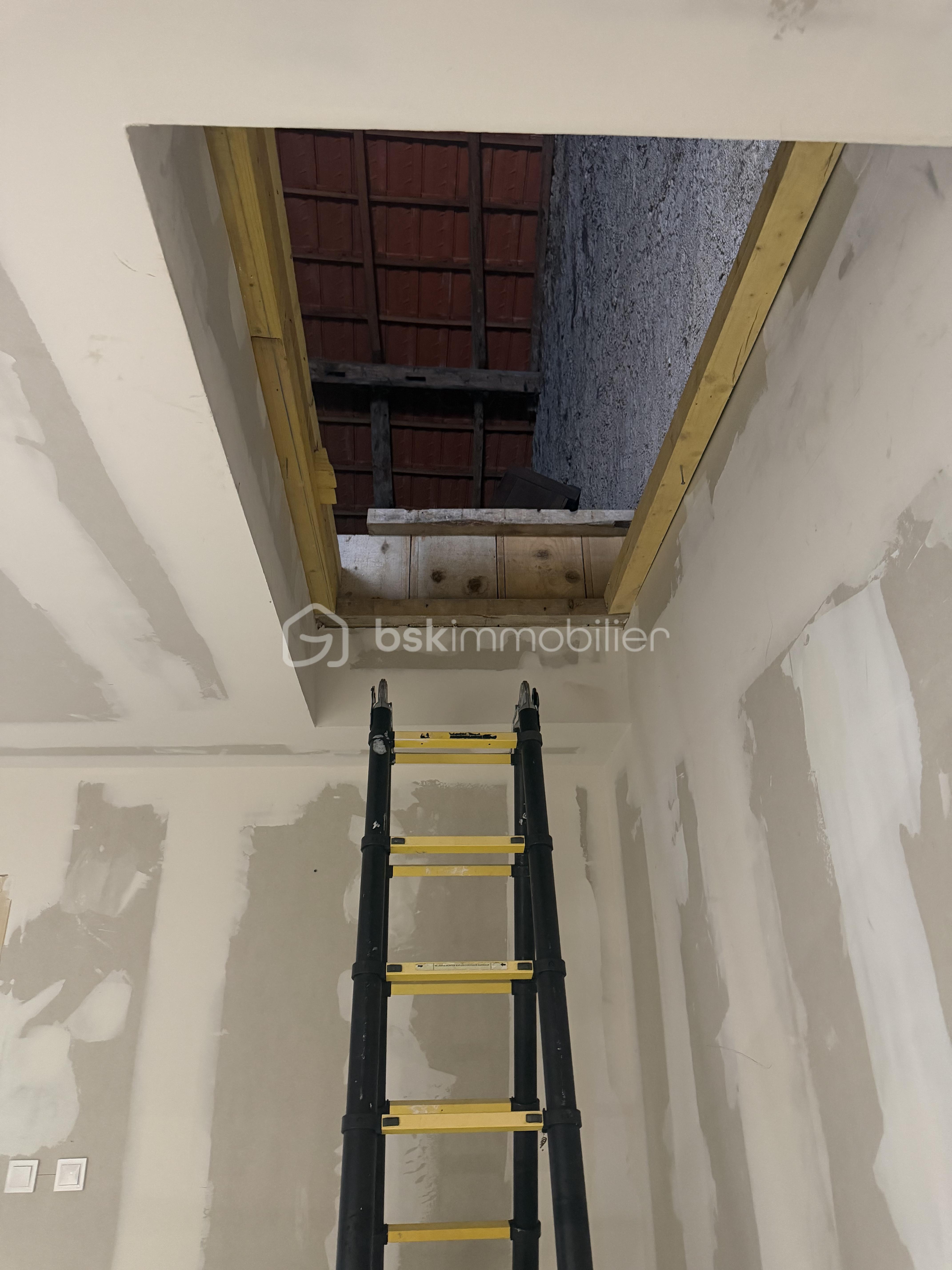 IMG_4072.jpeg