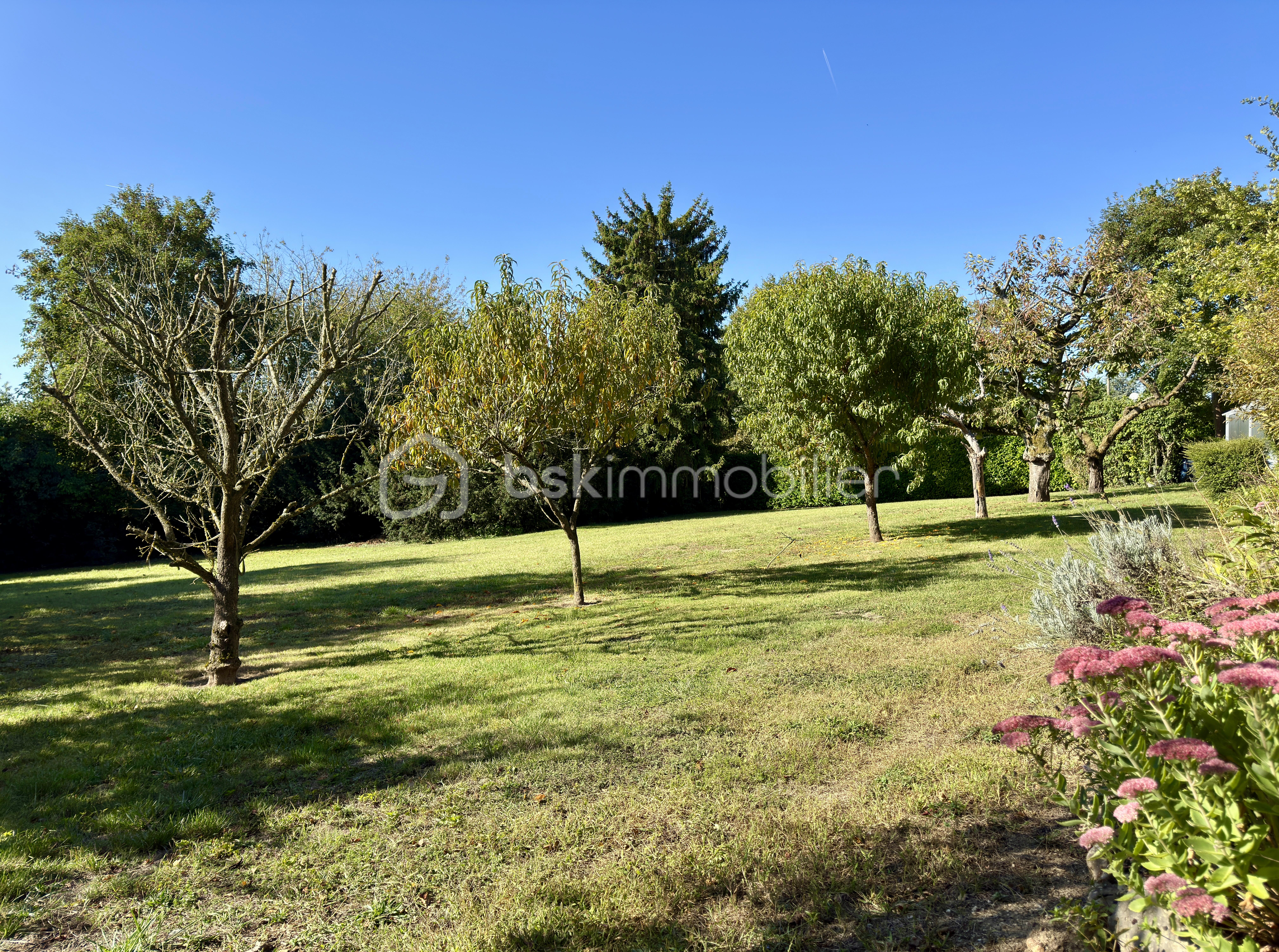 Maison en pierre de 333,67 m² - IMG_0123.jpg