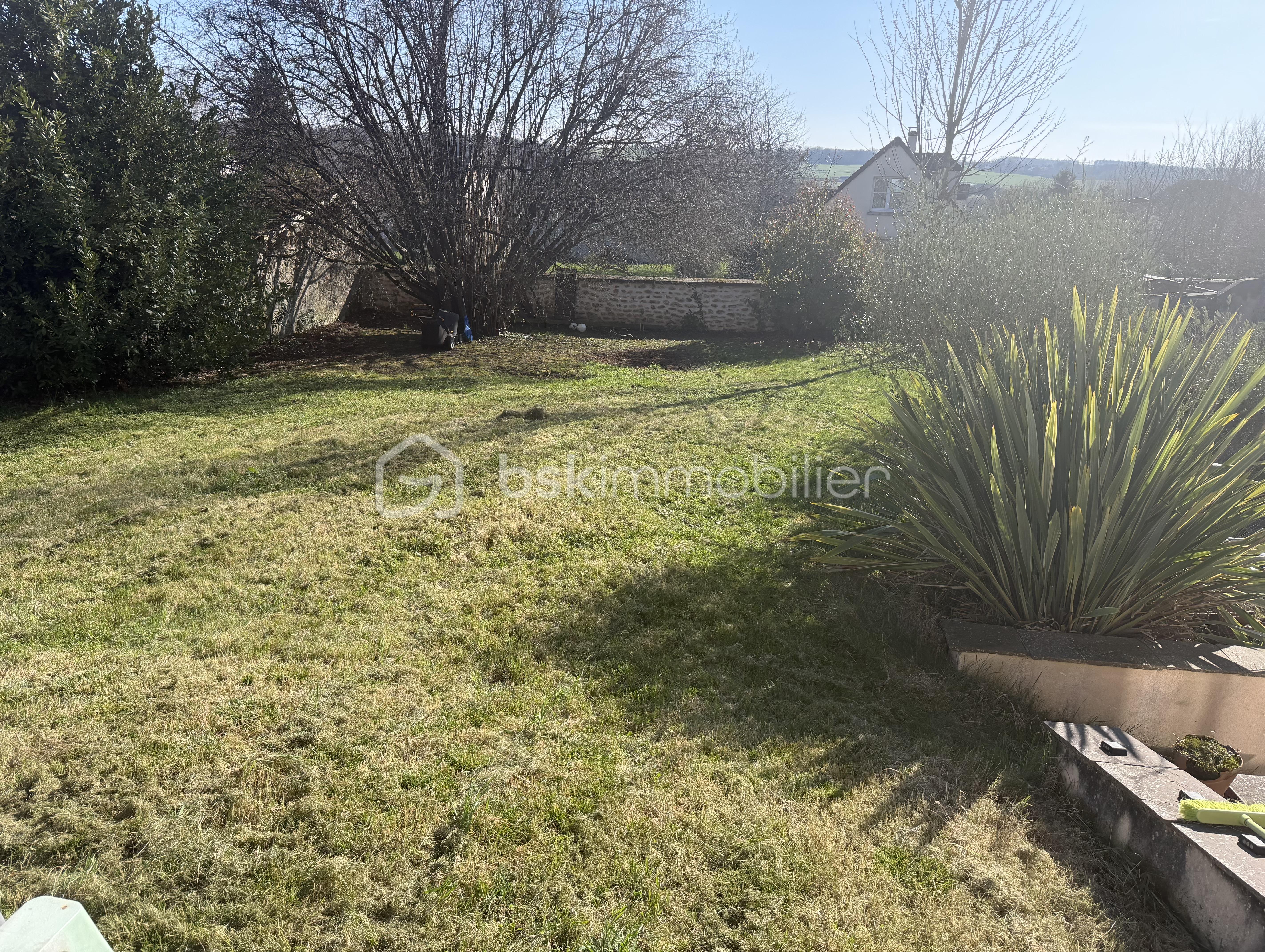 jardin.jpeg