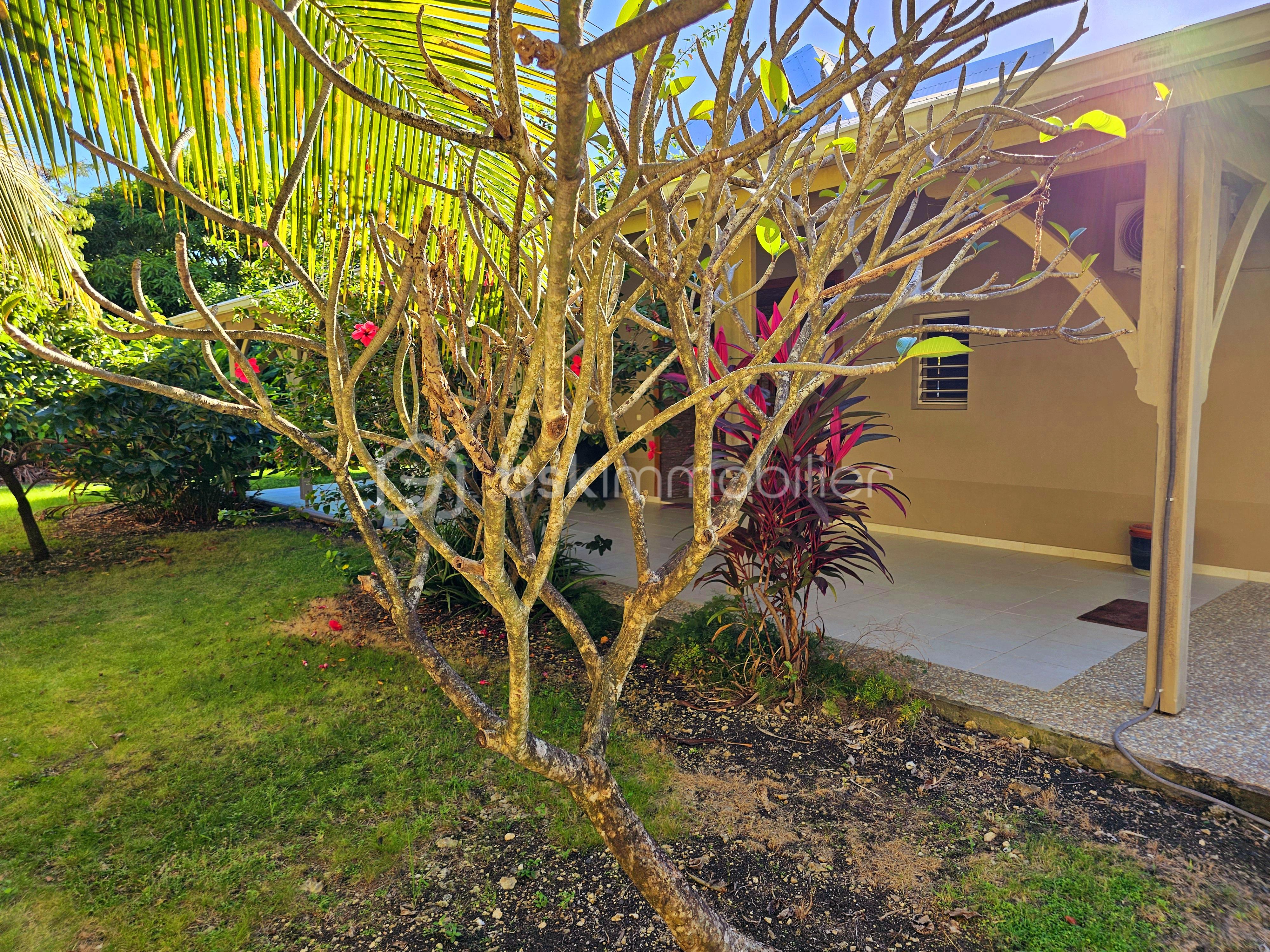 Villa de 144 m² - 20251229_153202.jpg