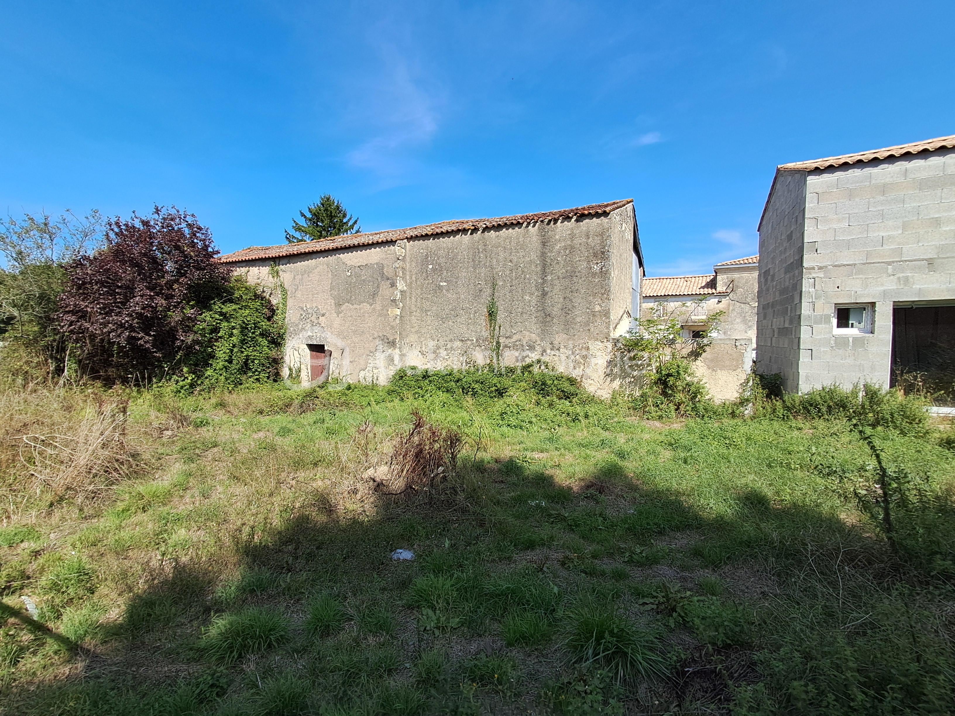 Demeure de 300 m² - 20250906_152129.jpg