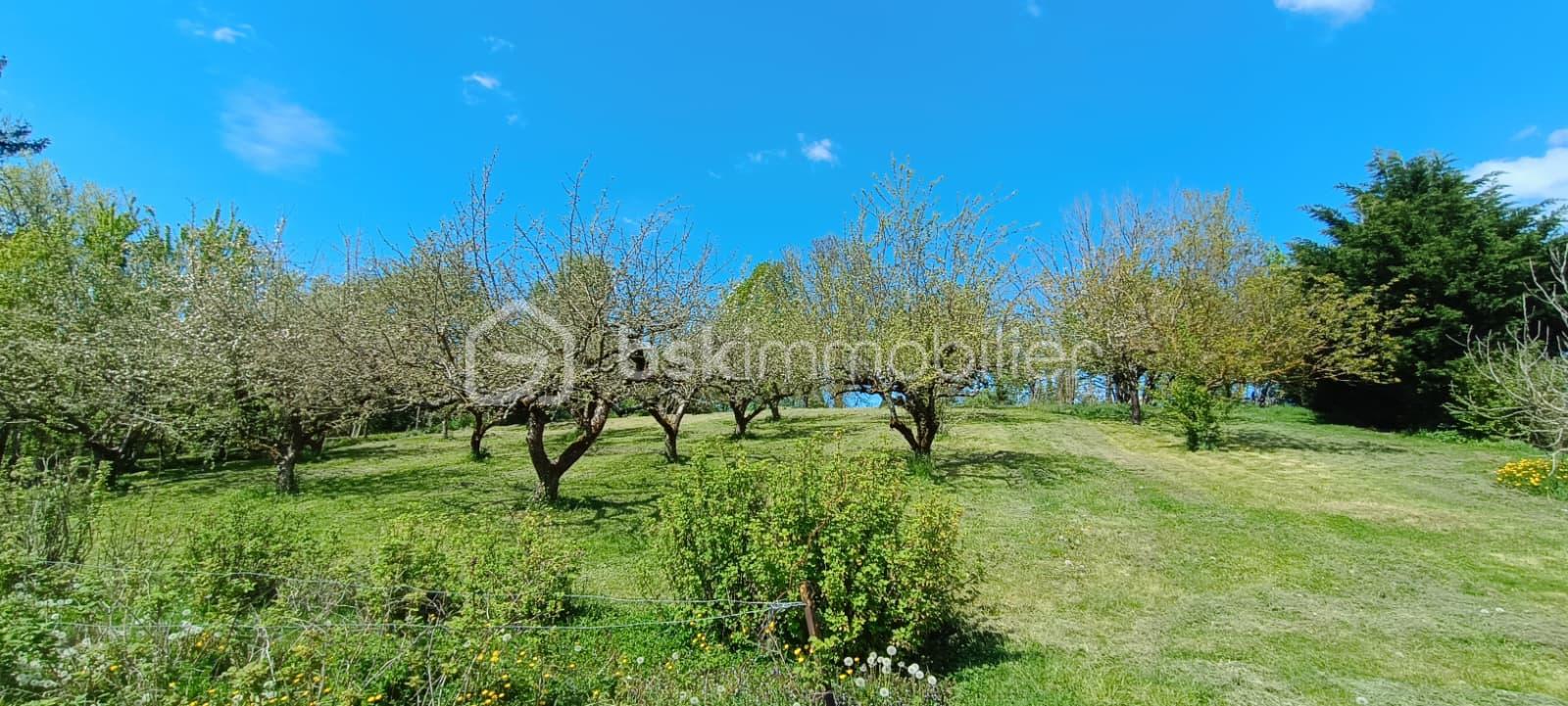 WhatsApp Image 2026-04-19 at 16.55.22 (3).jpeg