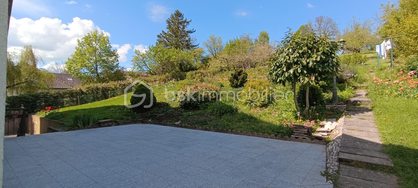 WhatsApp Image 2026-04-19 at 16.55.23.jpeg