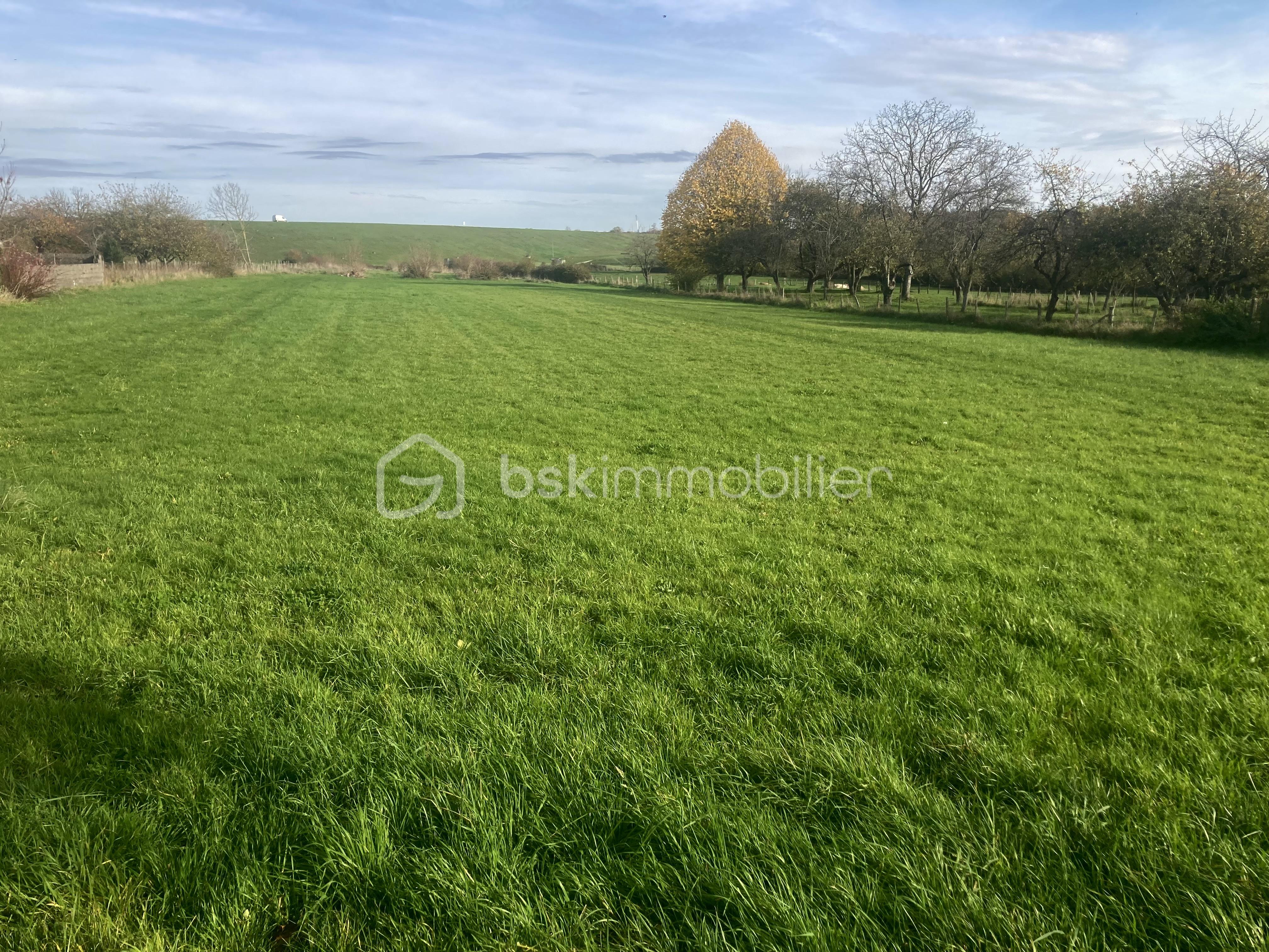 Terrain de 10 137 m²