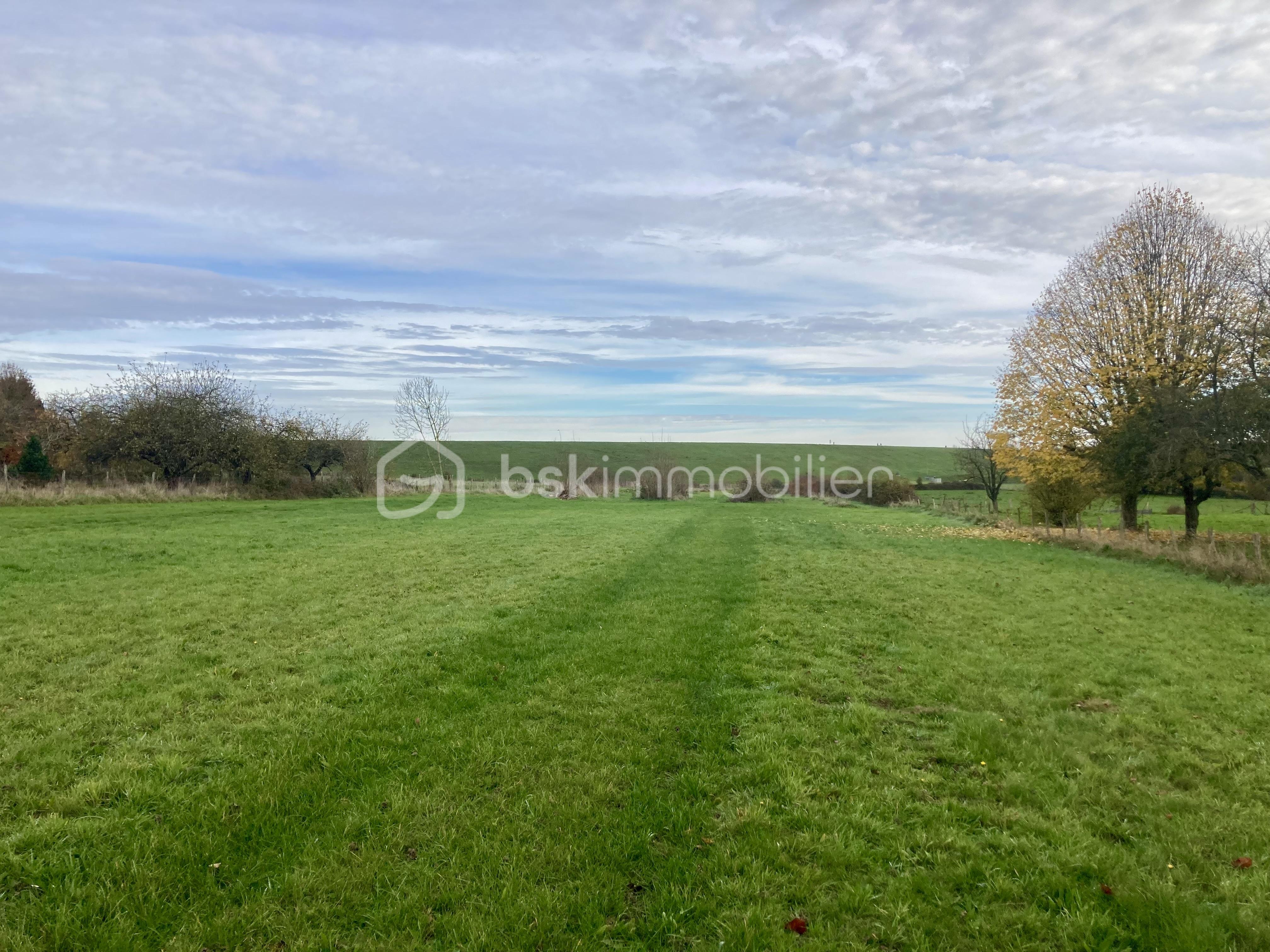 Terrain de 10 137 m² - g.jpg