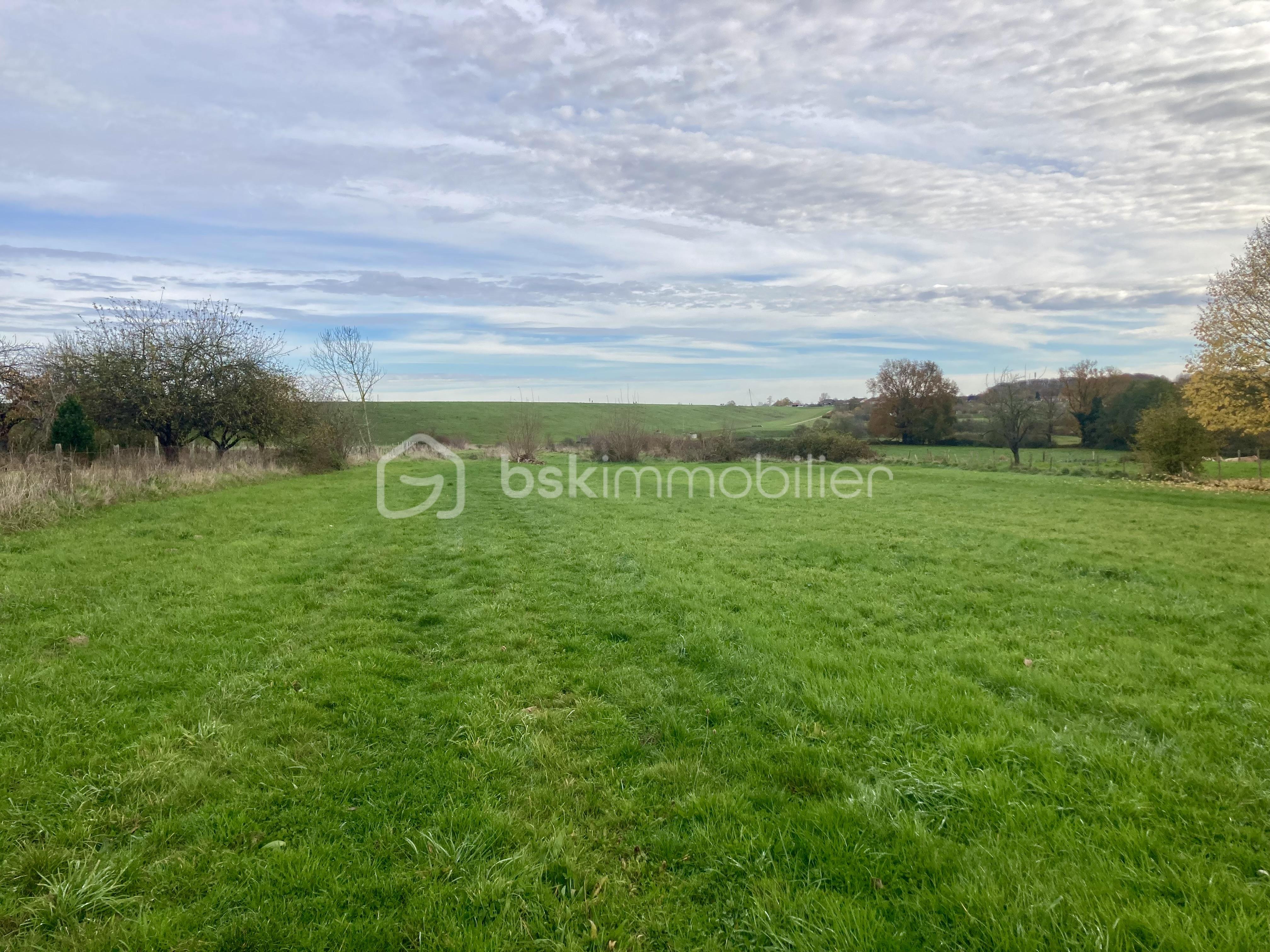 Terrain de 10 137 m² - gr.jpg