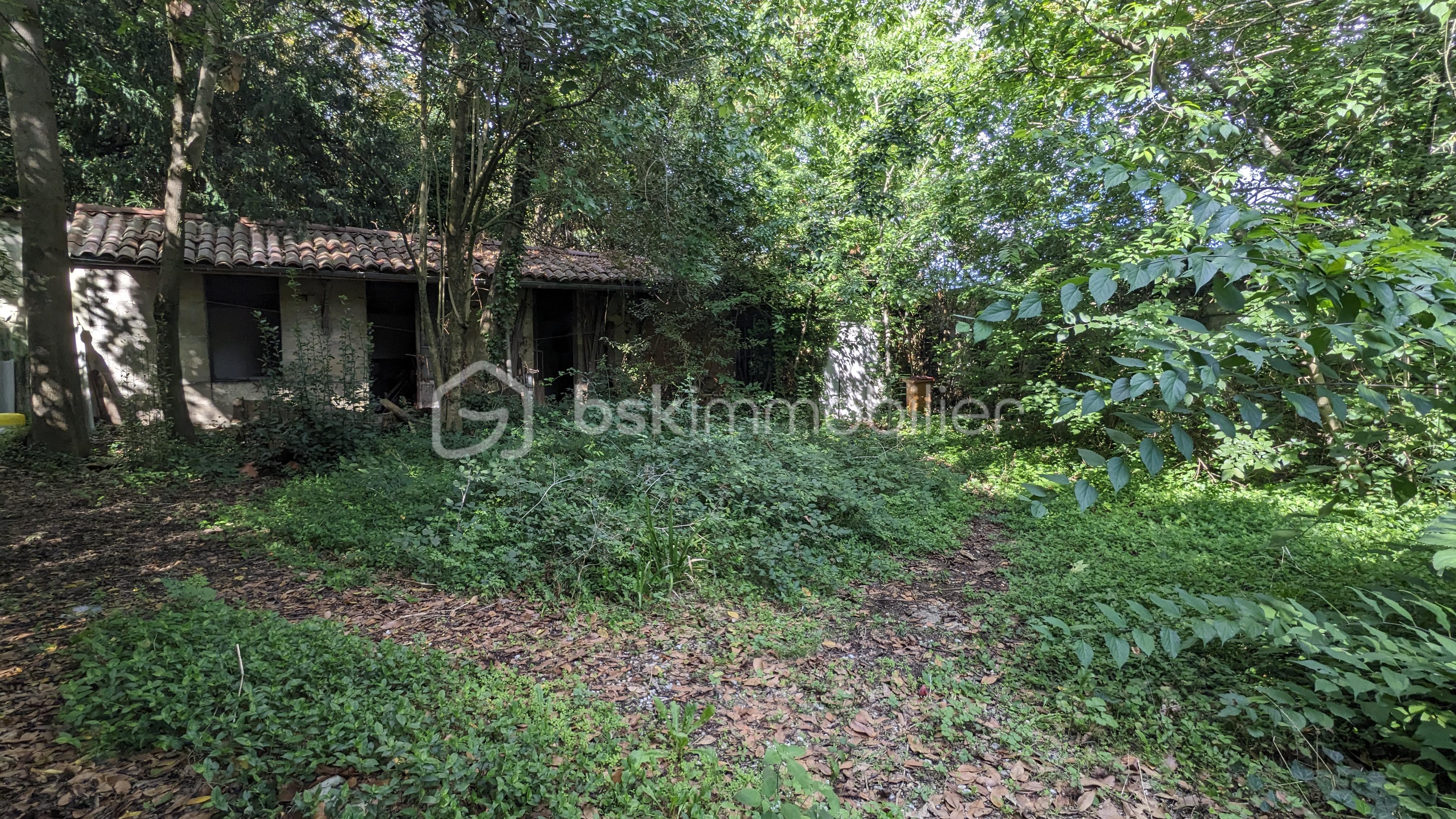 Terrain de 430 m² - PXL_20250925_135918490.jpg