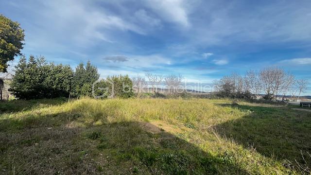 Terrain de 886 m² - IMG_6136.jpeg