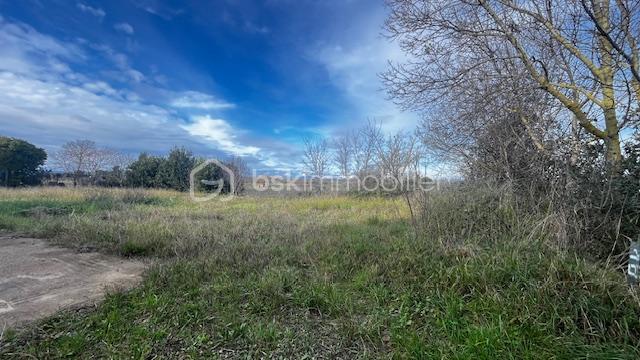 Terrain de 886 m² - IMG_6131.jpeg