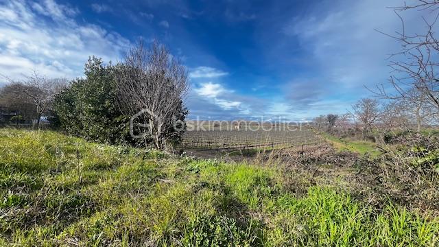 Terrain de 886 m² - IMG_6135.jpeg