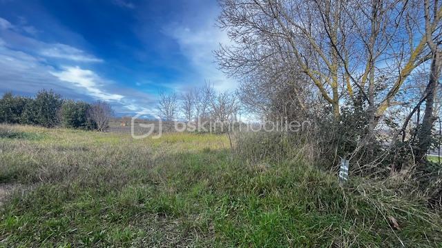 Terrain de 886 m² - IMG_6132.jpeg