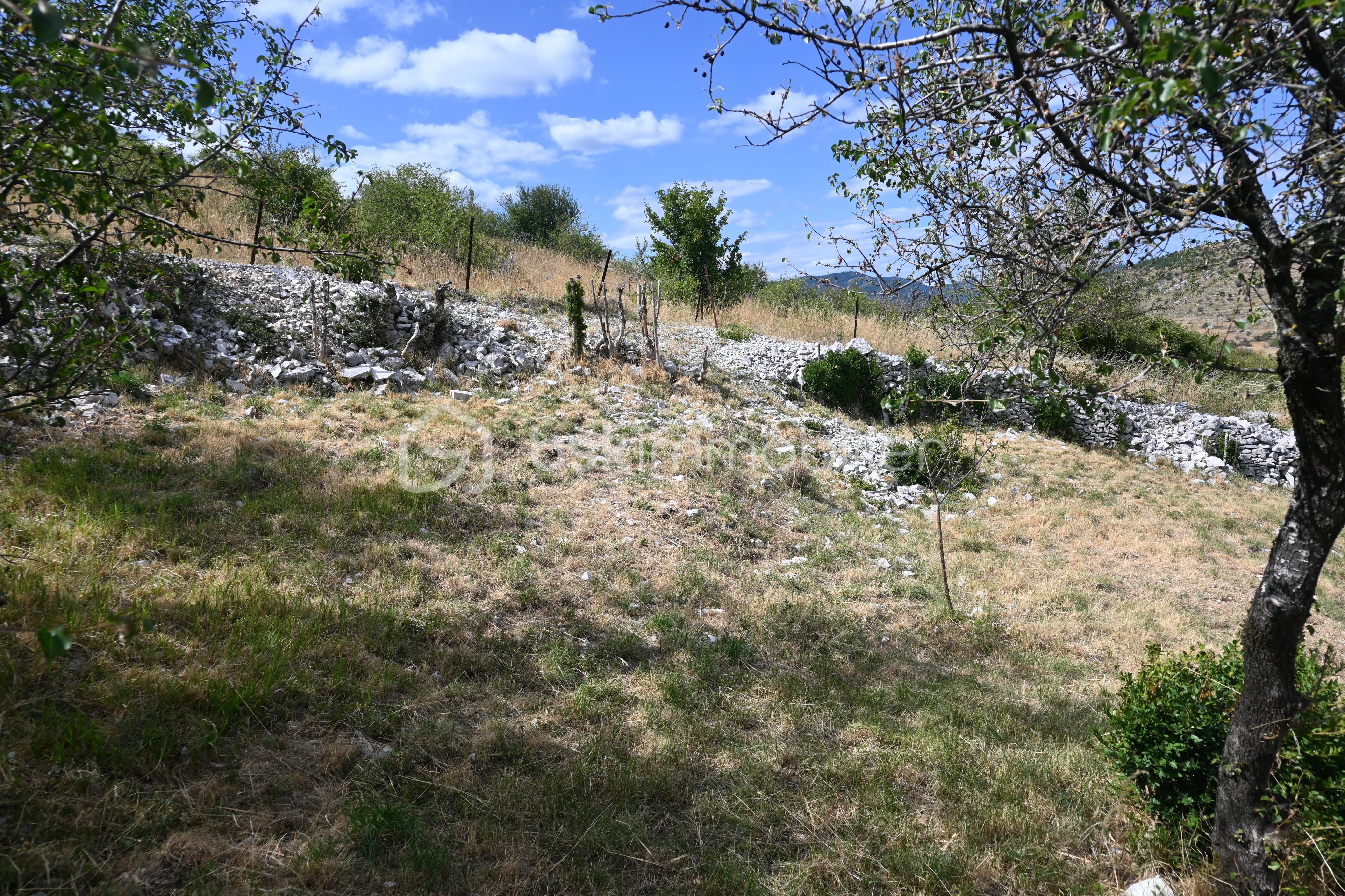 Terrain de 1 200 m² - 9.JPG