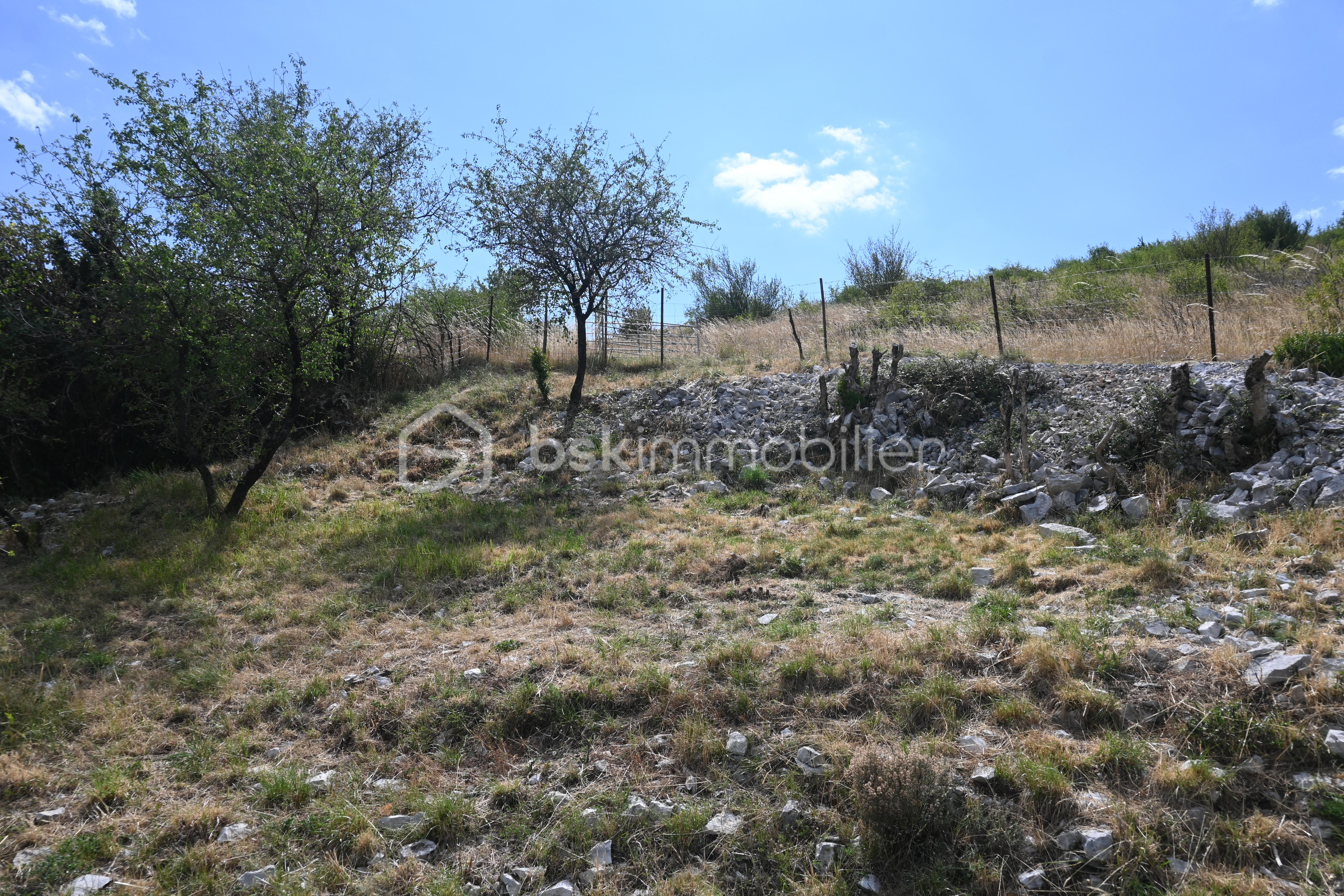 Terrain de 1 200 m² - 8.JPG