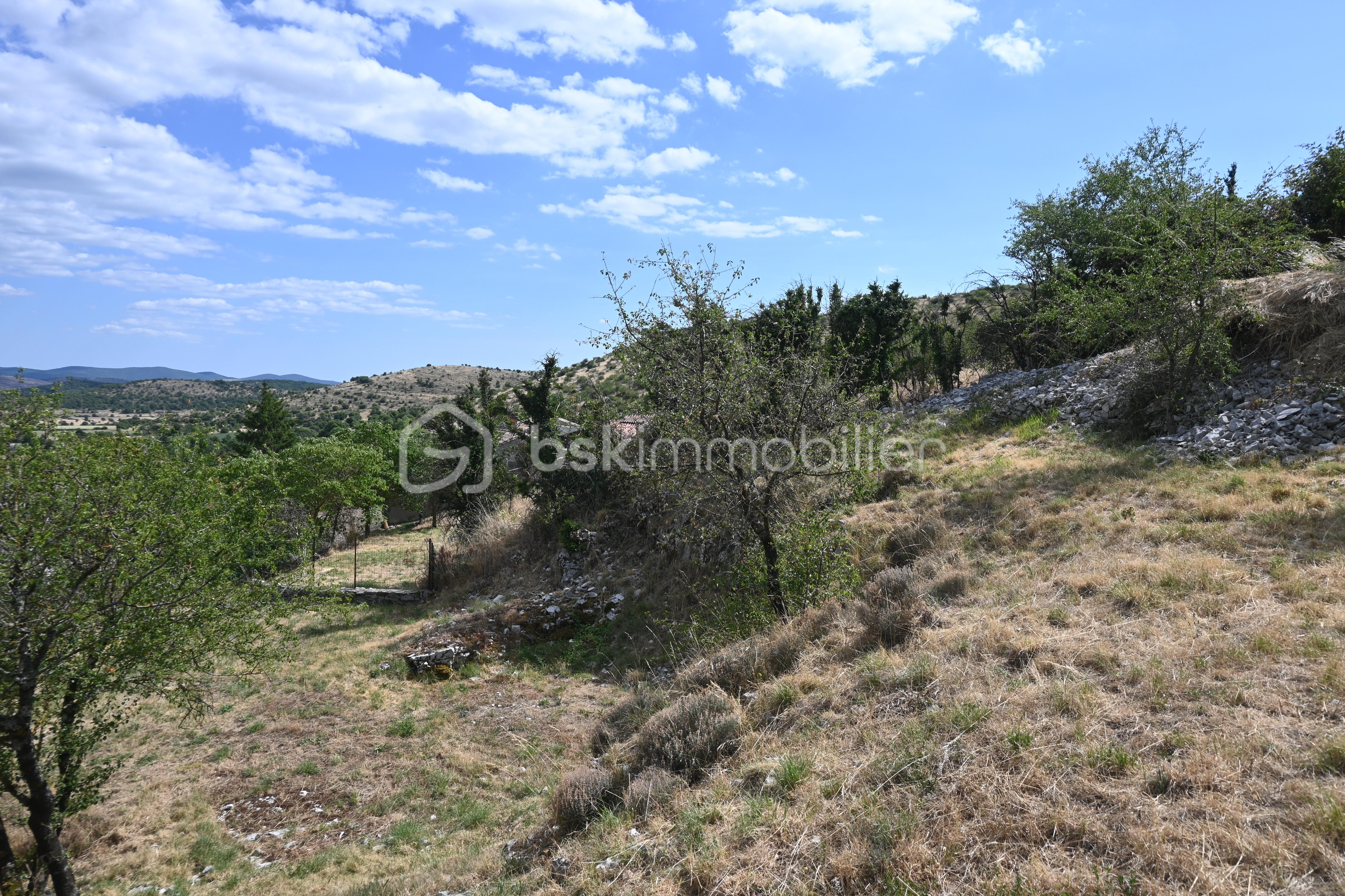 Terrain de 1 200 m² - 7.JPG