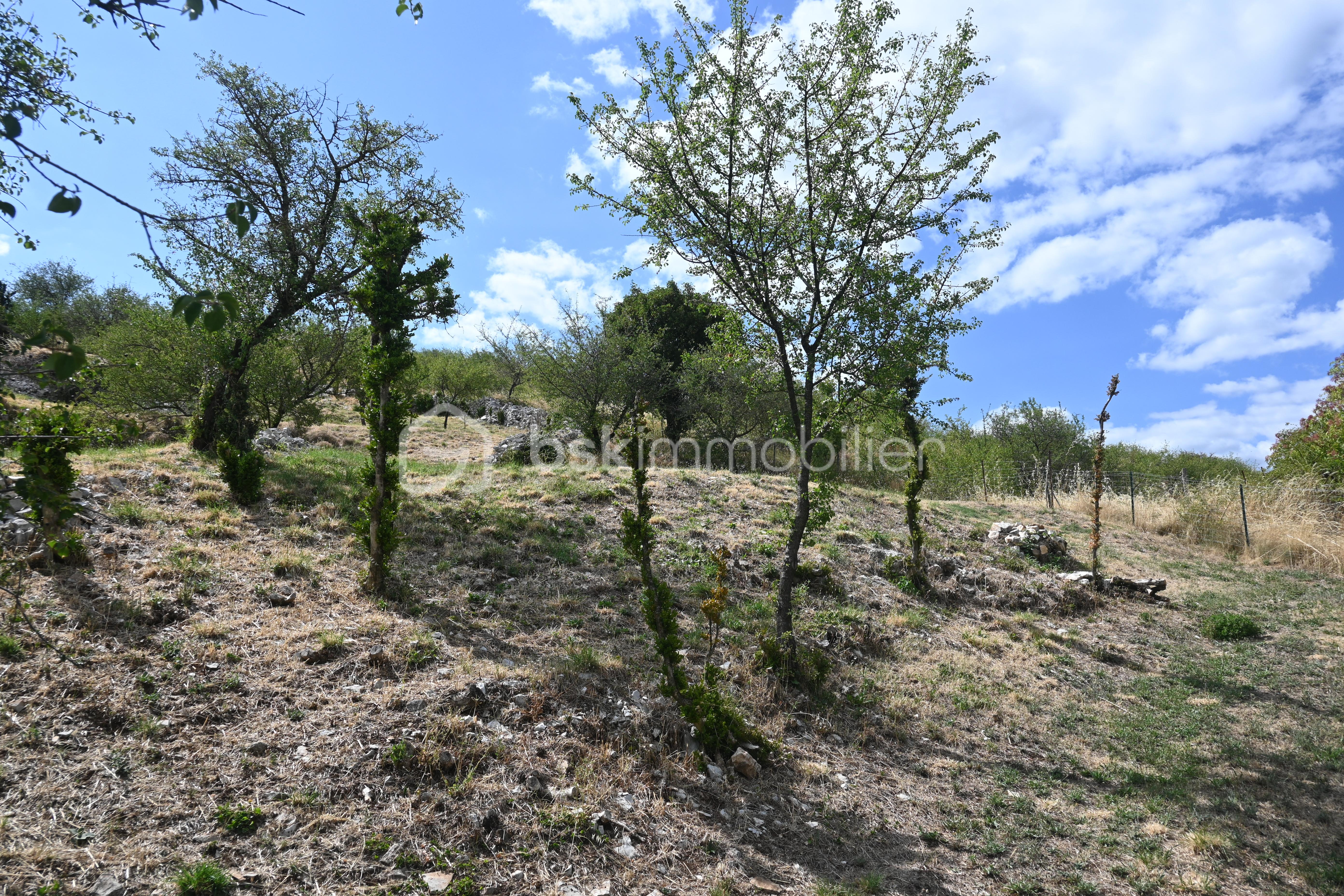 Terrain de 1 200 m² - 2.JPG