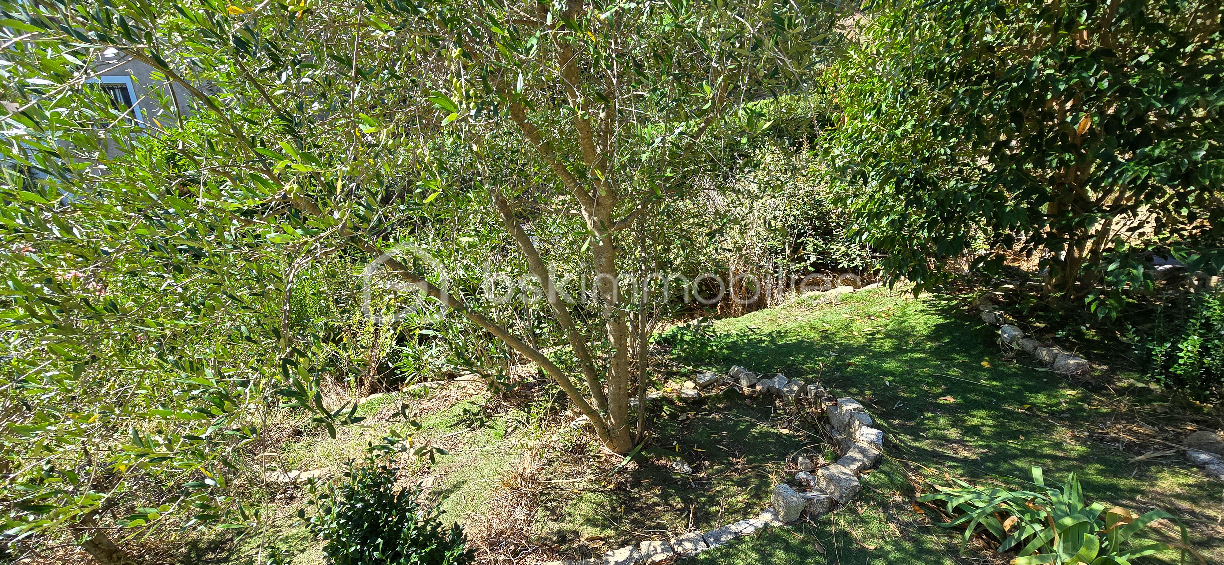 Maison de 180 m² - 20250929_134041.jpg