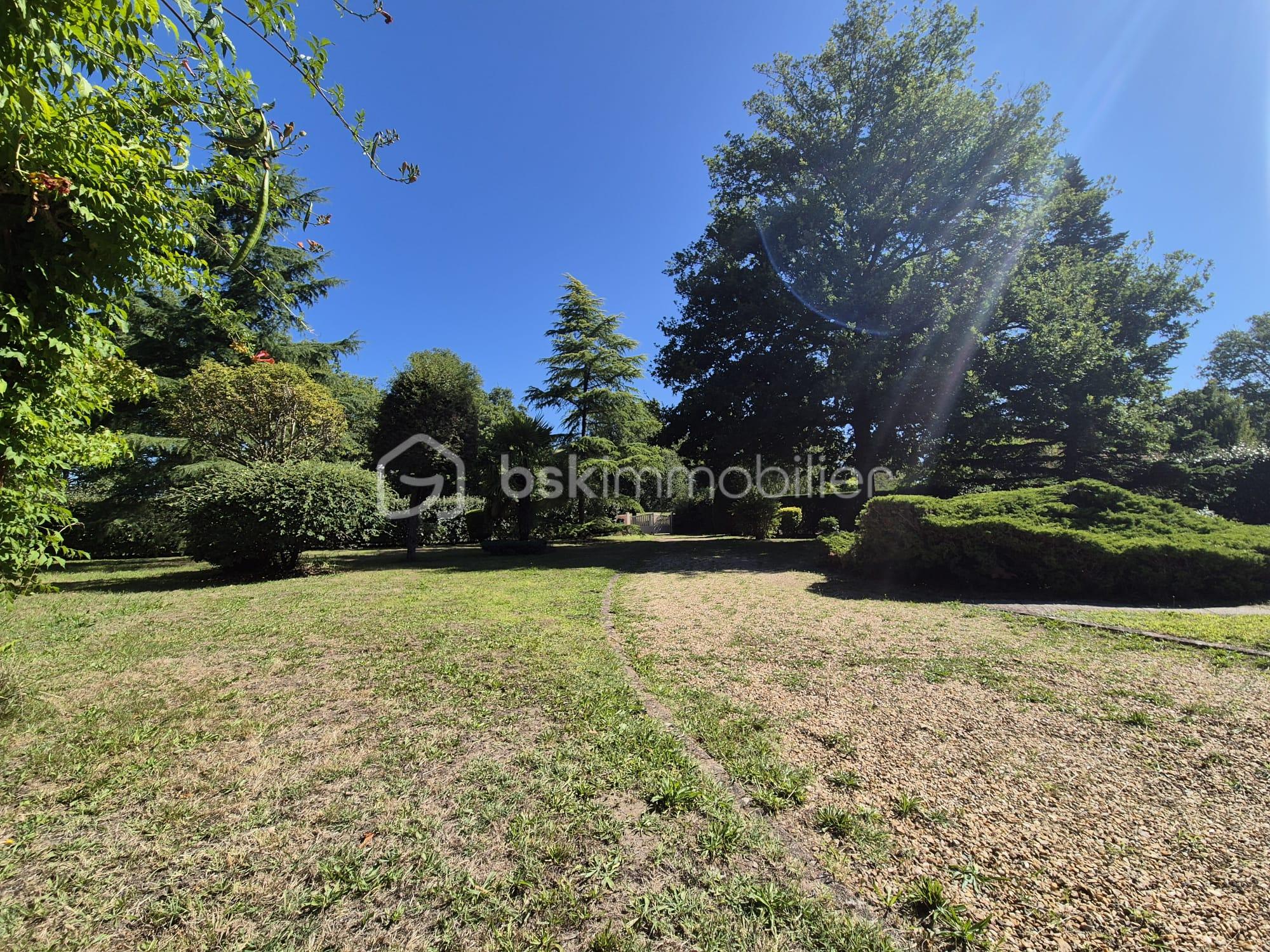 WhatsApp Image 2025-08-10 à 00.57.22_9e44c9e0.jpg