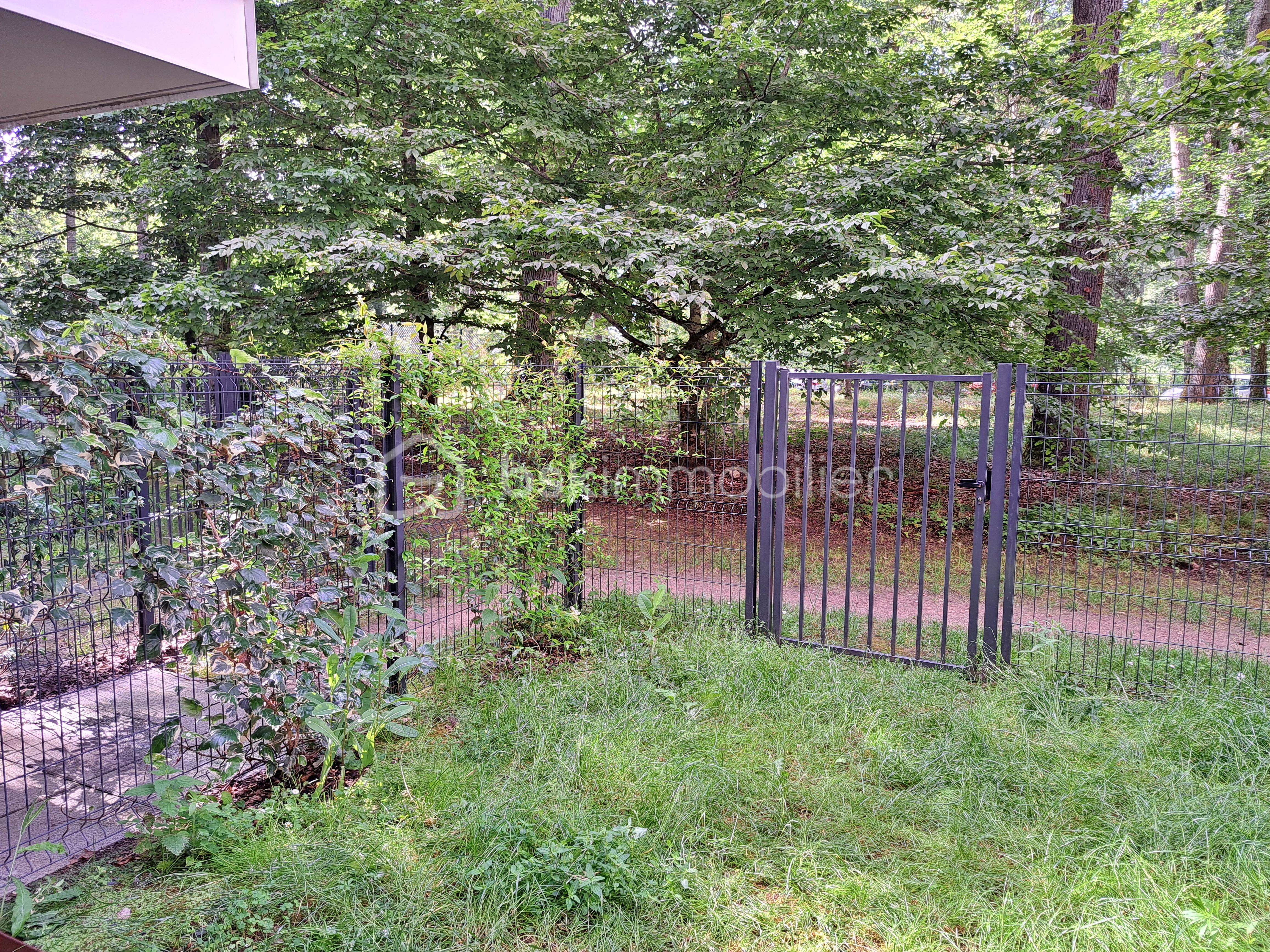 20240619_174638.jpg