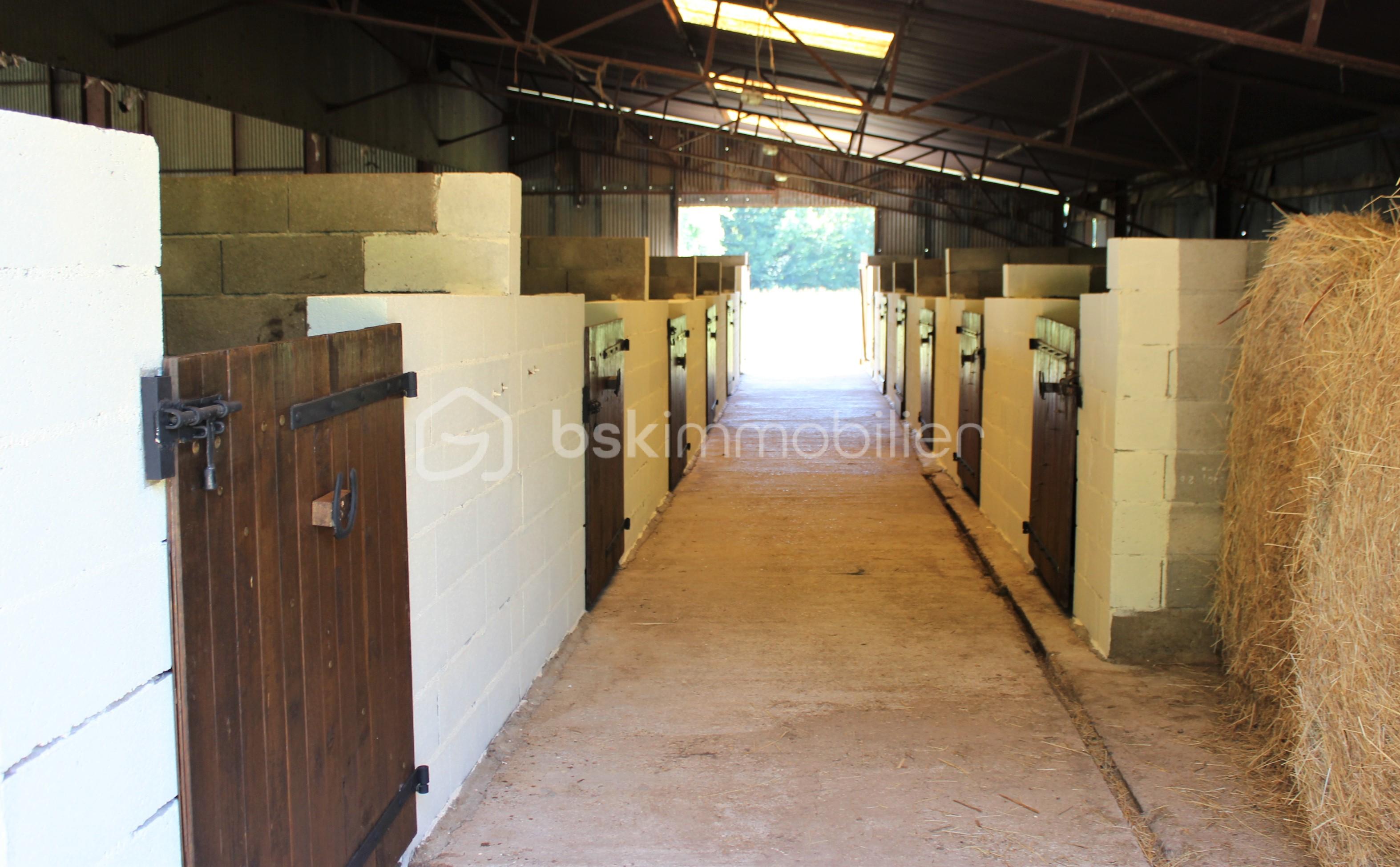 Maison longere de 370 m² - 100 (12).jpg