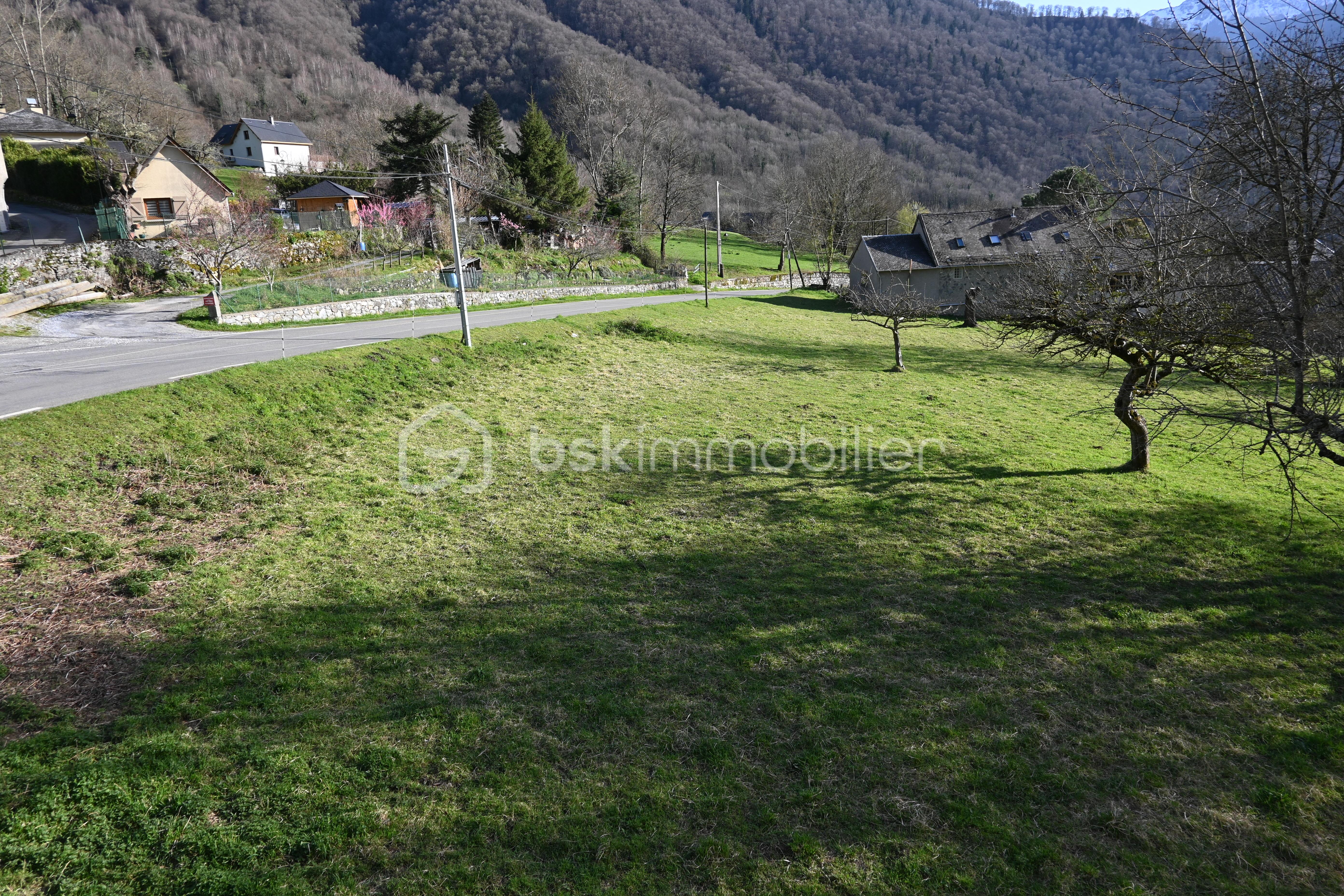 DSC_1034.JPG