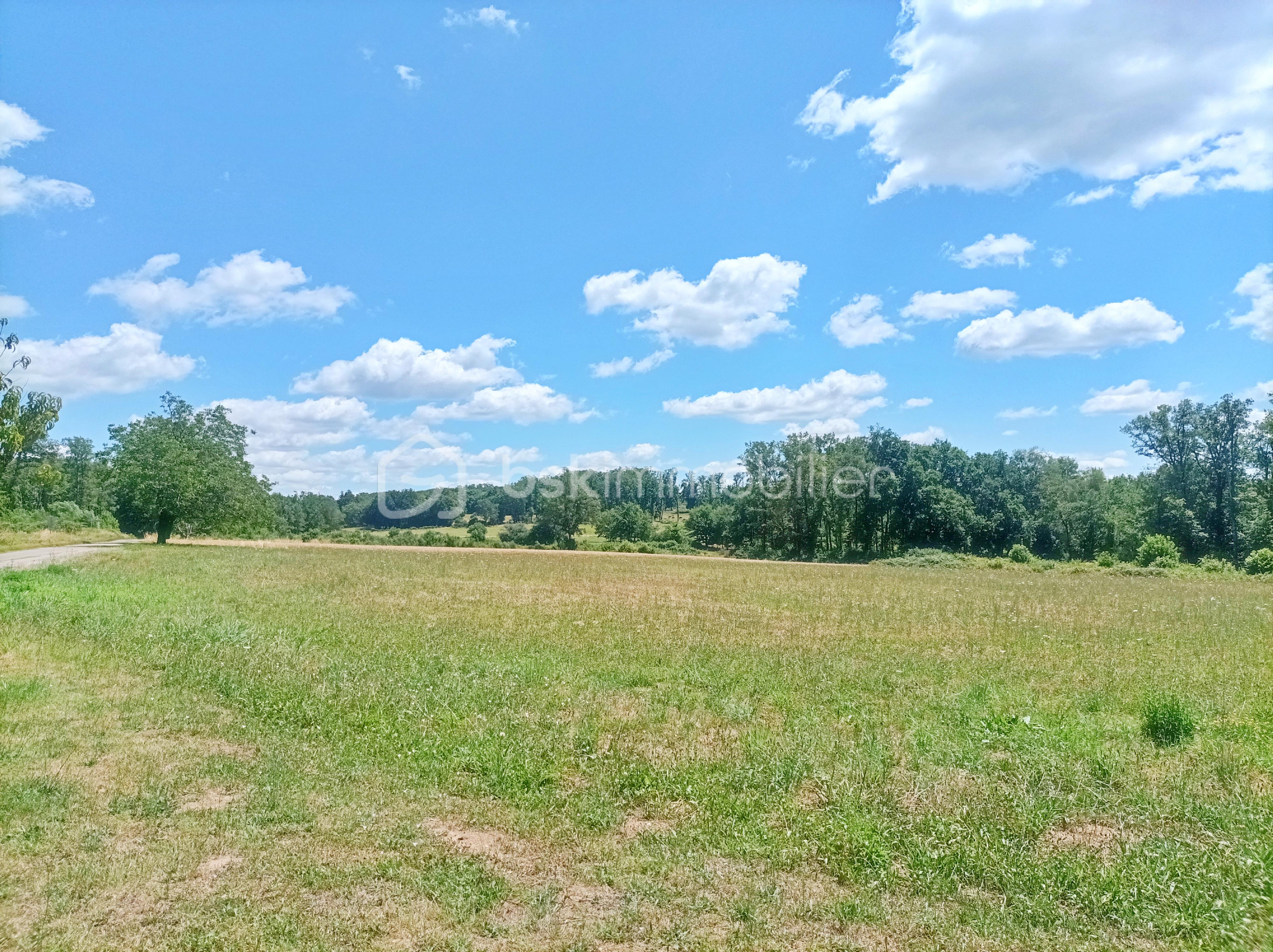 Maison de 125,50 m² - TERRAIN1.jpg