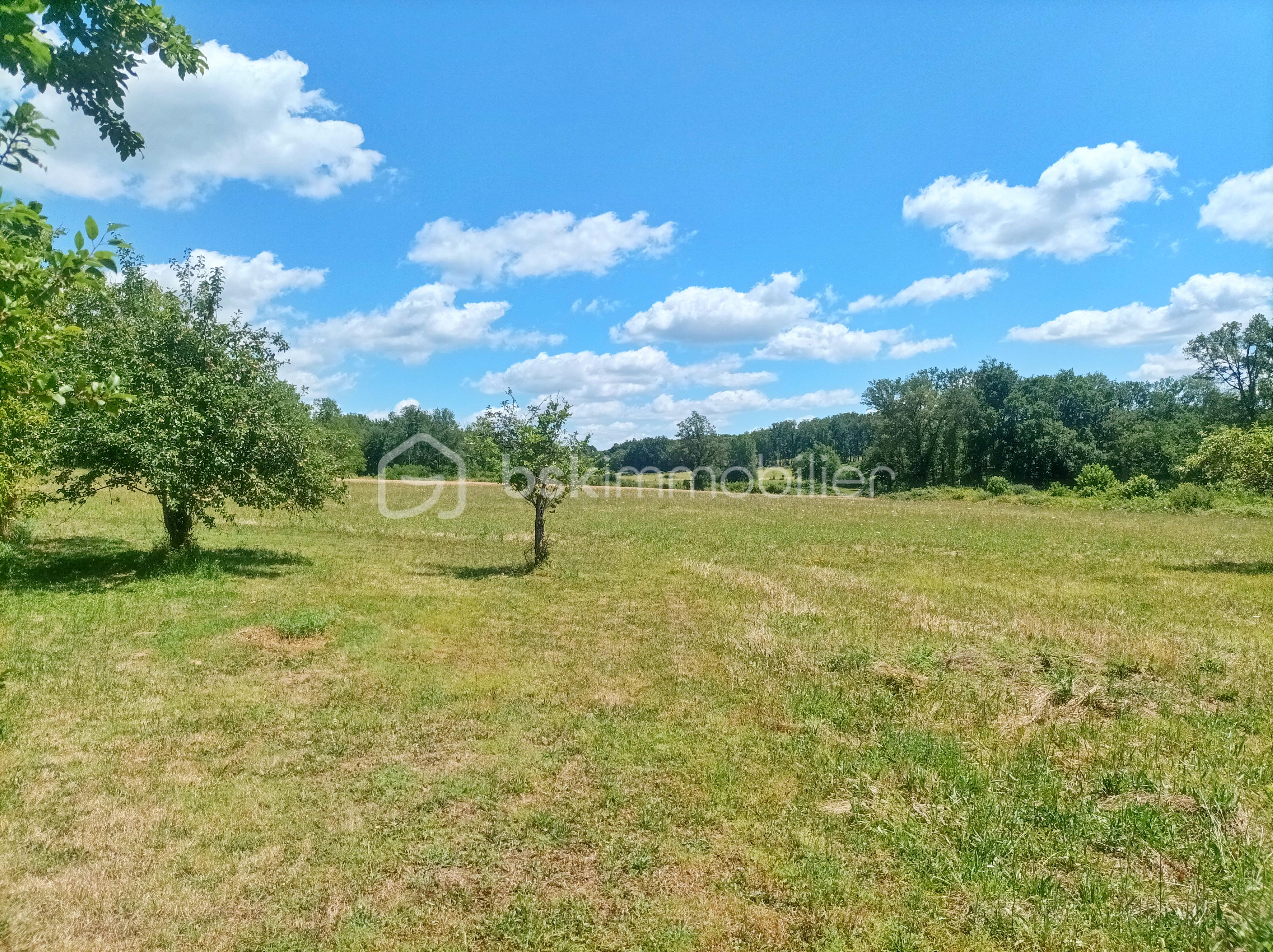 Maison de 125,50 m² - TERRAIN.jpg