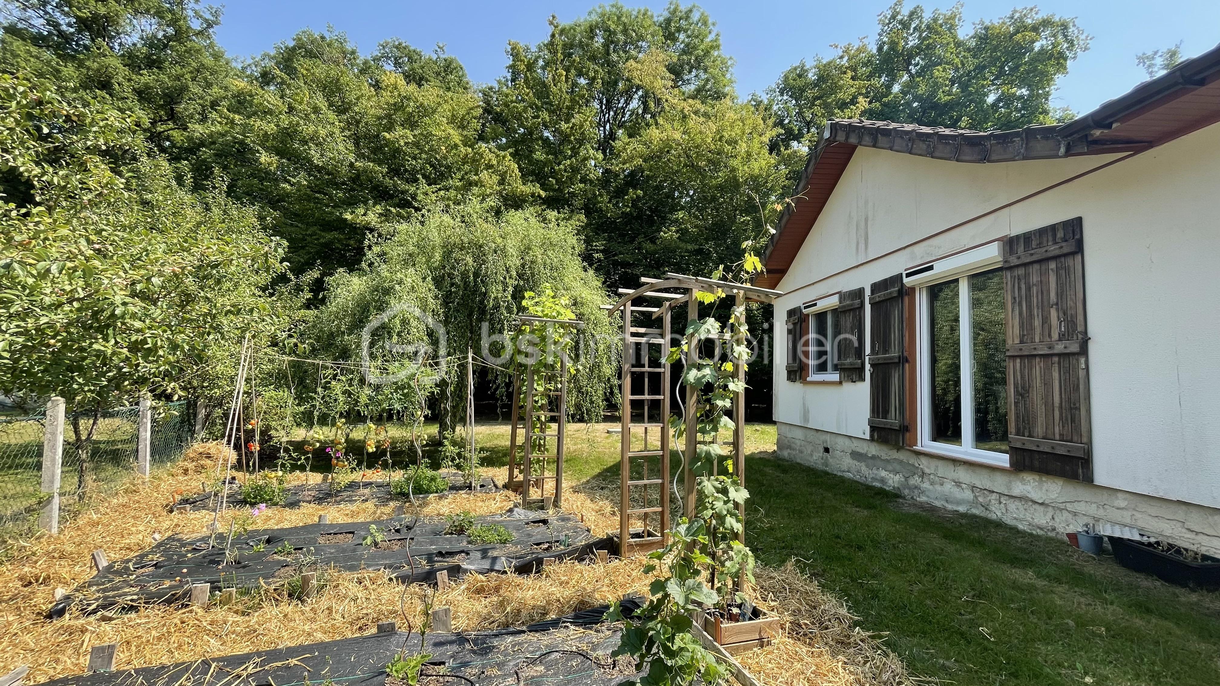 Maison traditionnelle de 120 m² - POTAGER.jpg
