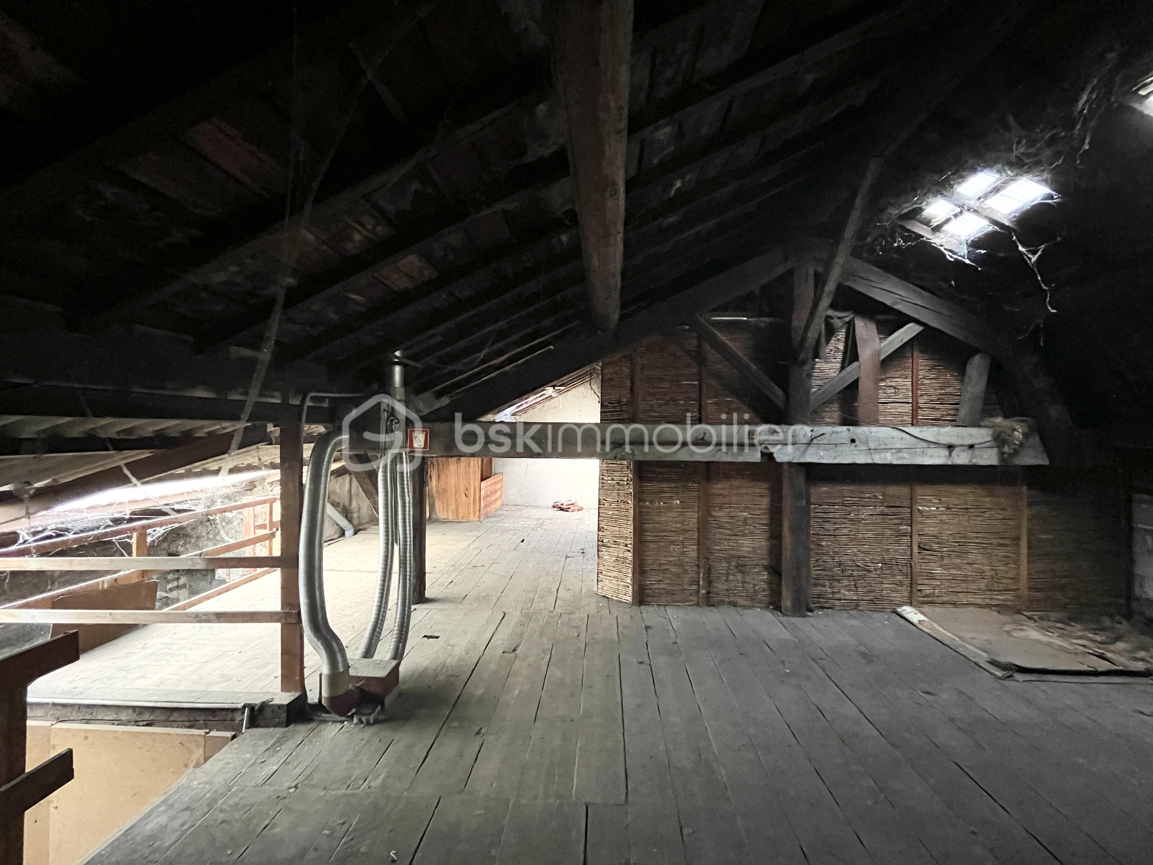 Immeuble mixte de 513,75 m² - IMG_7736.jpg