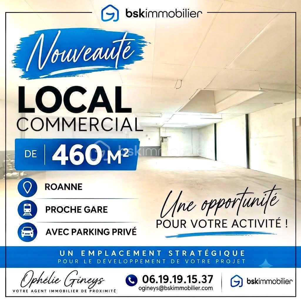 Local commercial 6 pièces 460 m² · à Roanne · 460 m² · 289 000 €