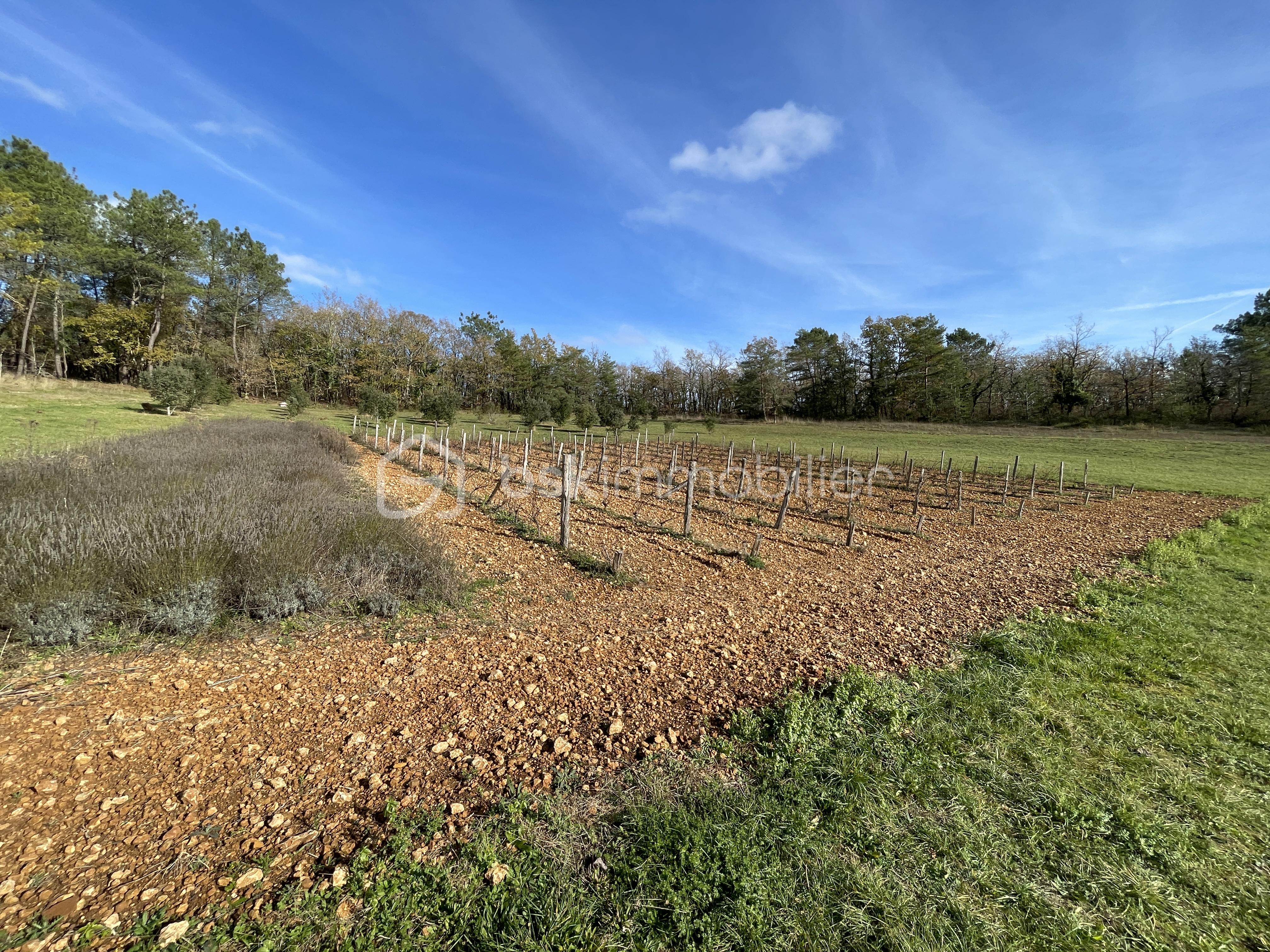 Propriete de 151 m² - IMG_1008.jpeg