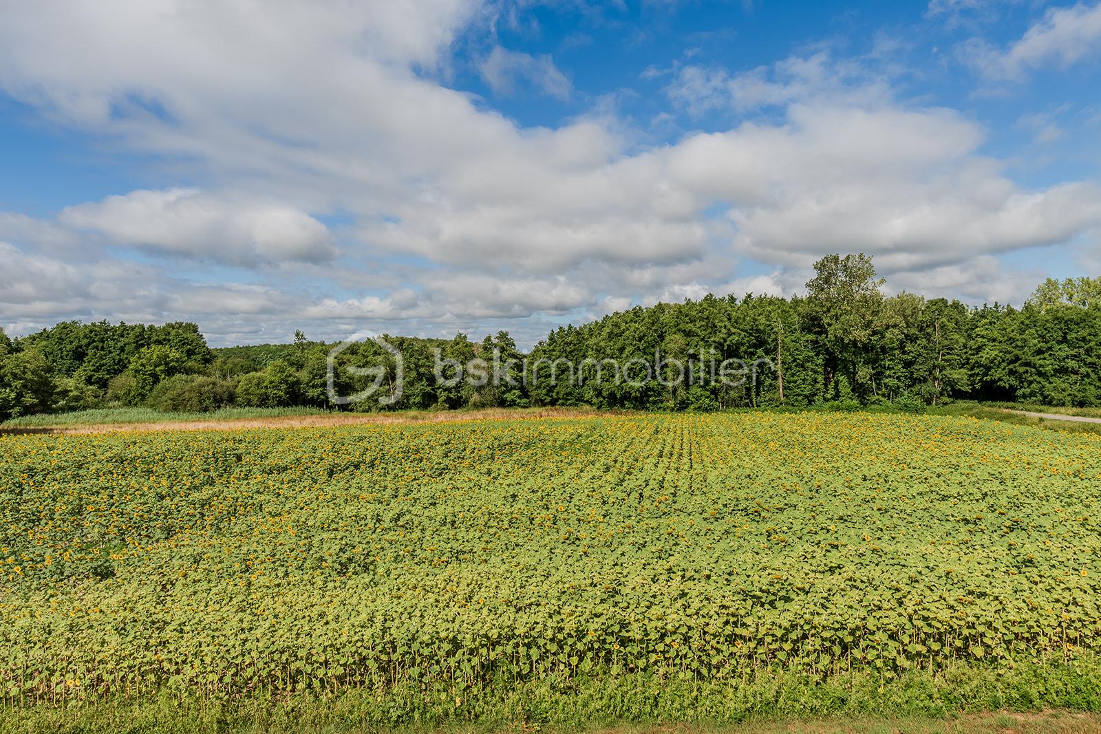 Maison de 127 m² - Magali-Willemin-Le-Montellier-24.jpg