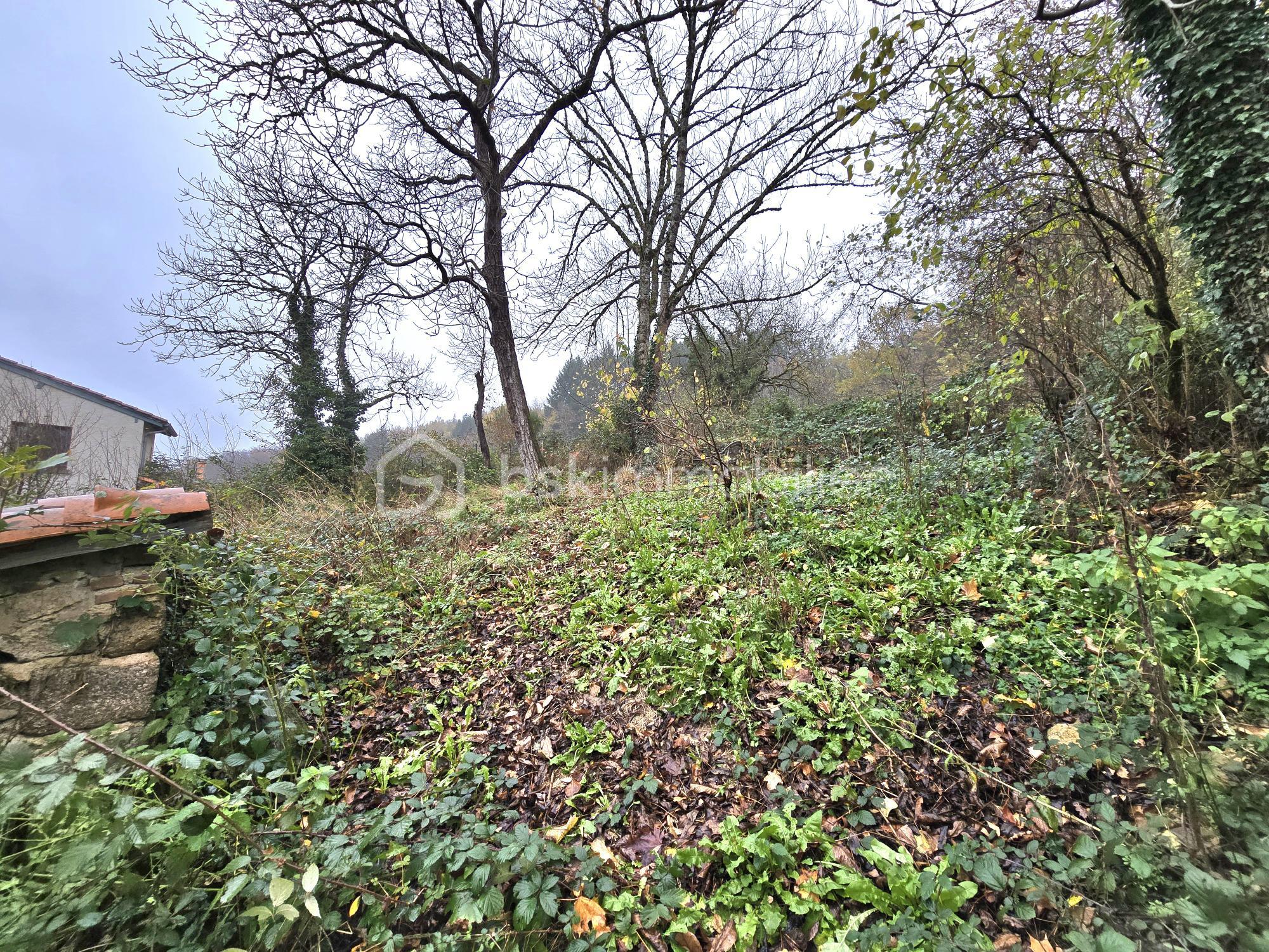 Maison de 70 m² - 20251117_111215.jpg